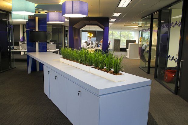 microsoft-s-aussie-office-revamp-photos_13.jpg