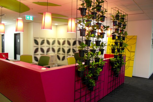 microsoft-s-aussie-office-revamp-photos_3.jpg