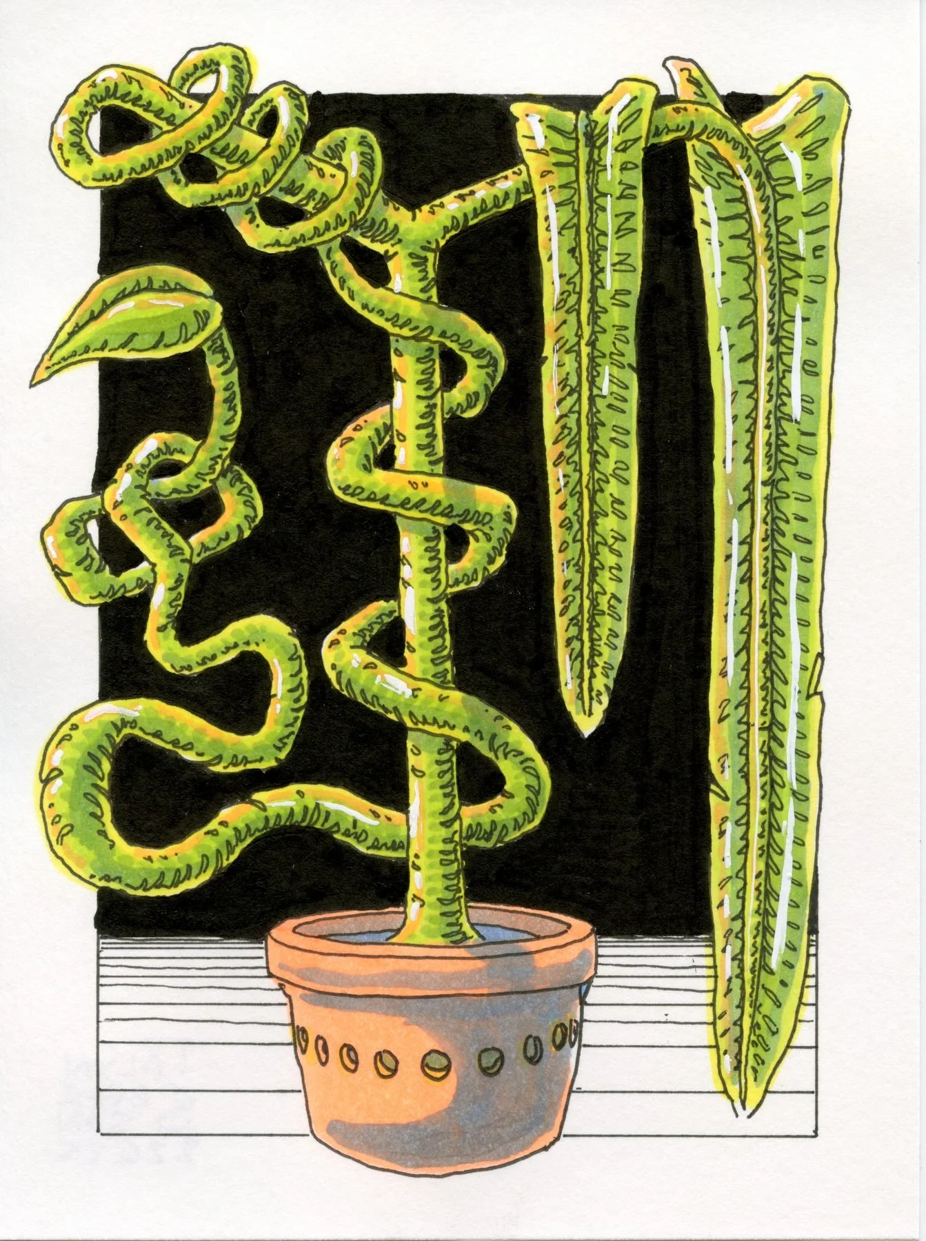 Surreal horticulture, 4.5x6" pen & ink on paper, 2025