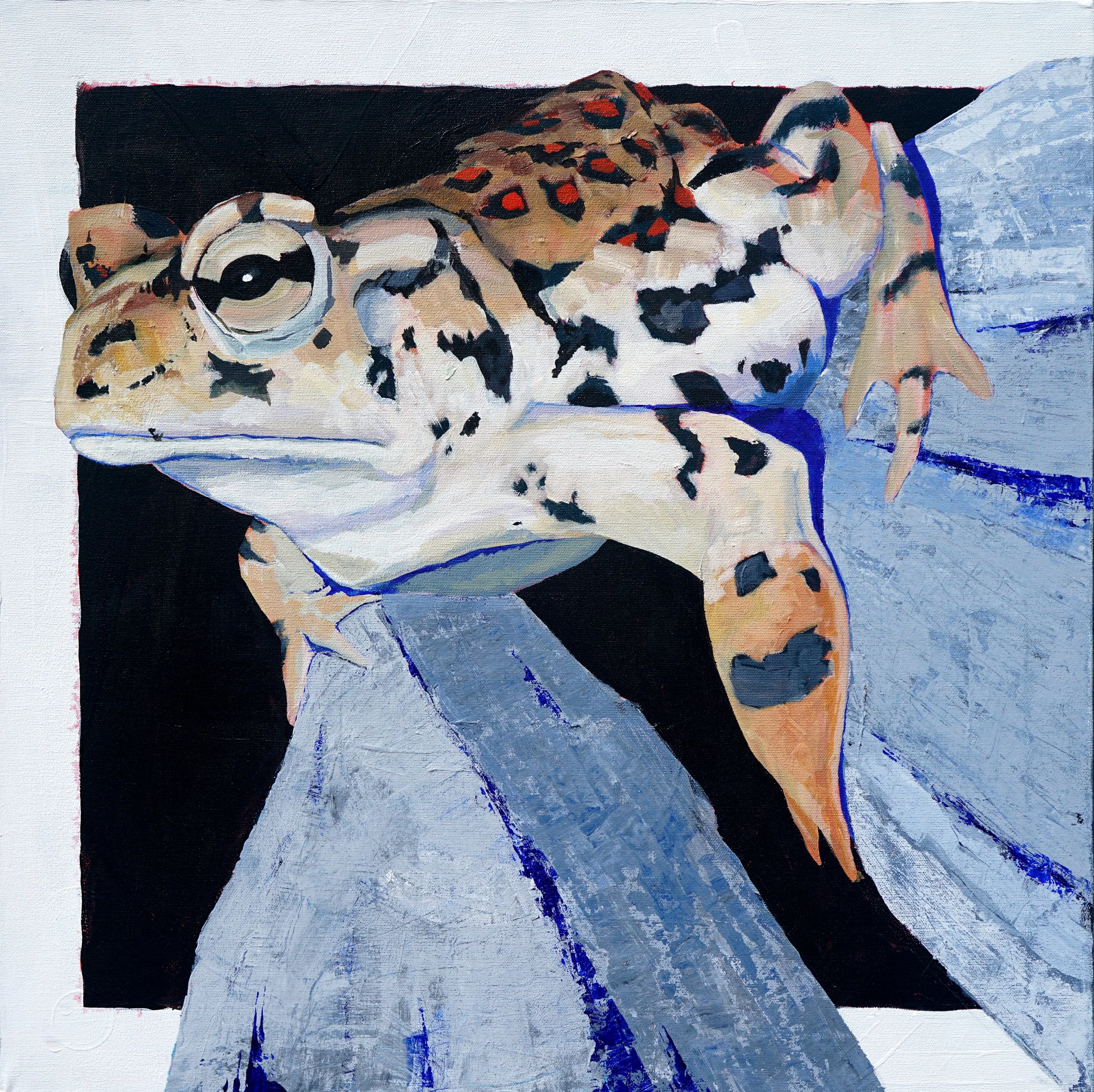 Western Toad, 24x24" Acrylic on canvas.
July 2026