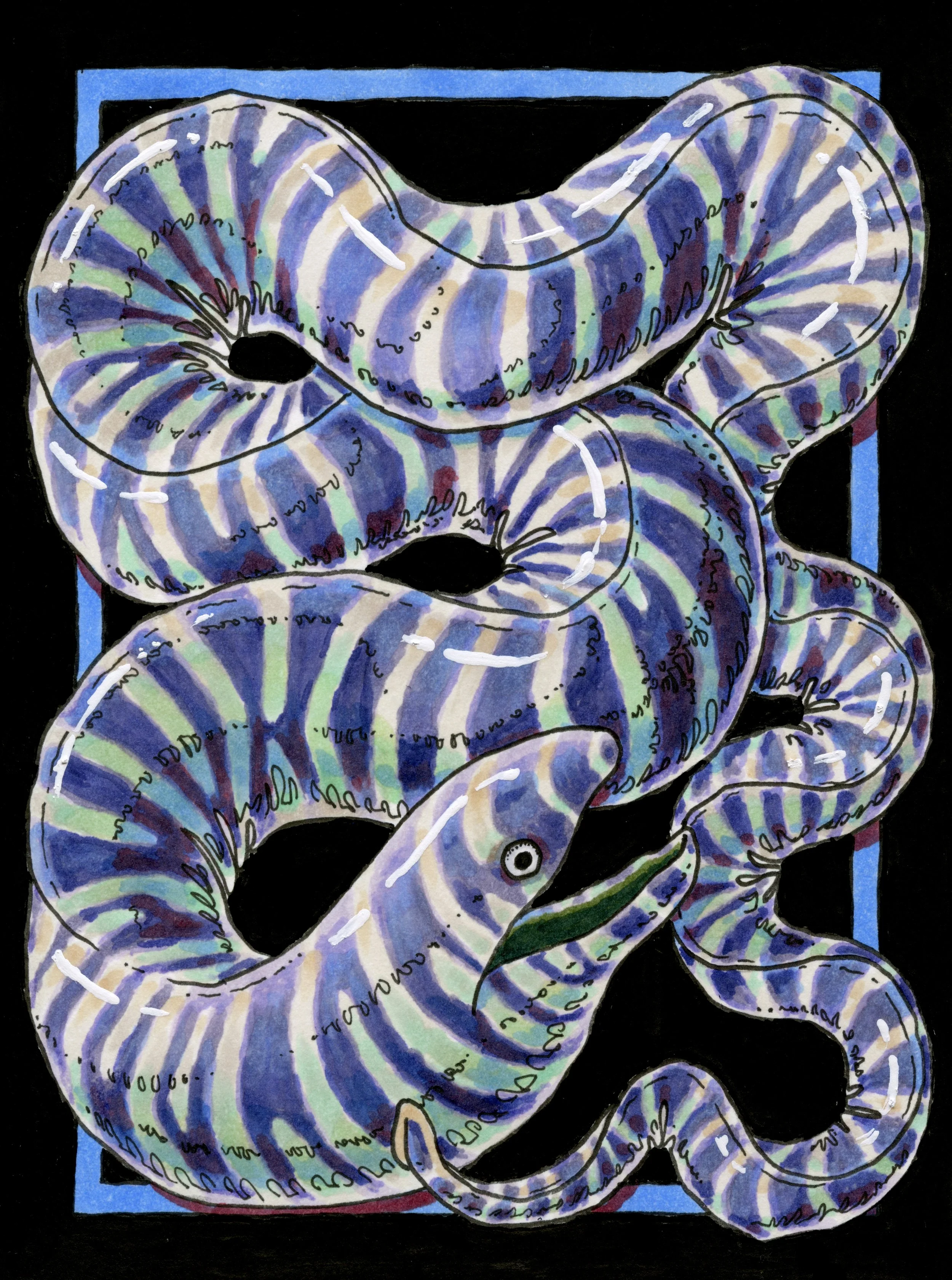 Zebra Moray illustration, pen & ink on card stock.
October 2025