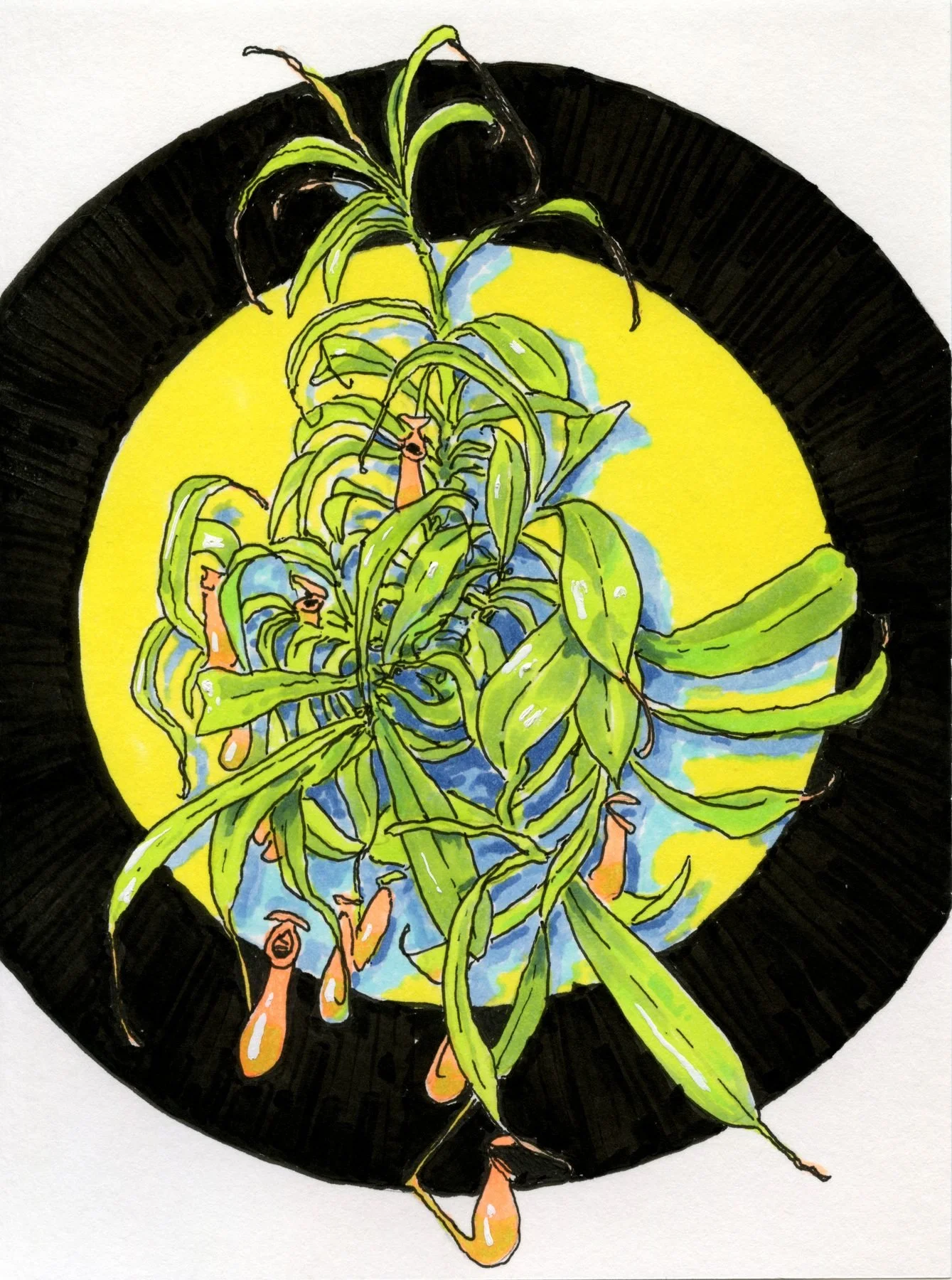pitcher, pen & ink on paper, 2026