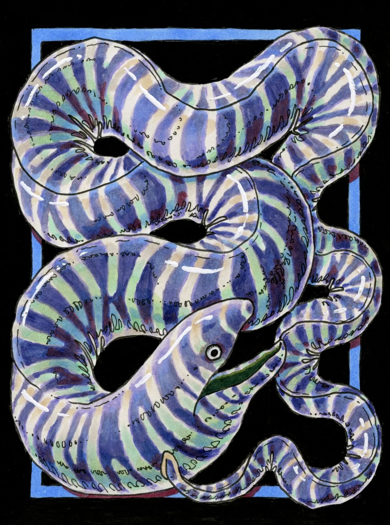 Zebra Moray, 4.5x6" pen & ink on paper, 2025