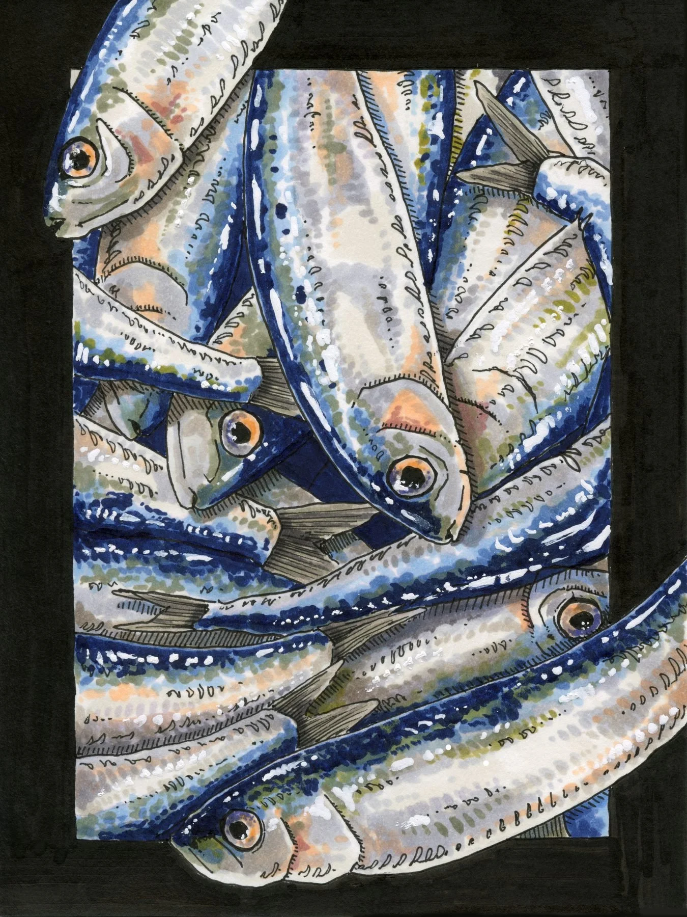 Sardines, 4.5x6" pen & ink on paper, 2026