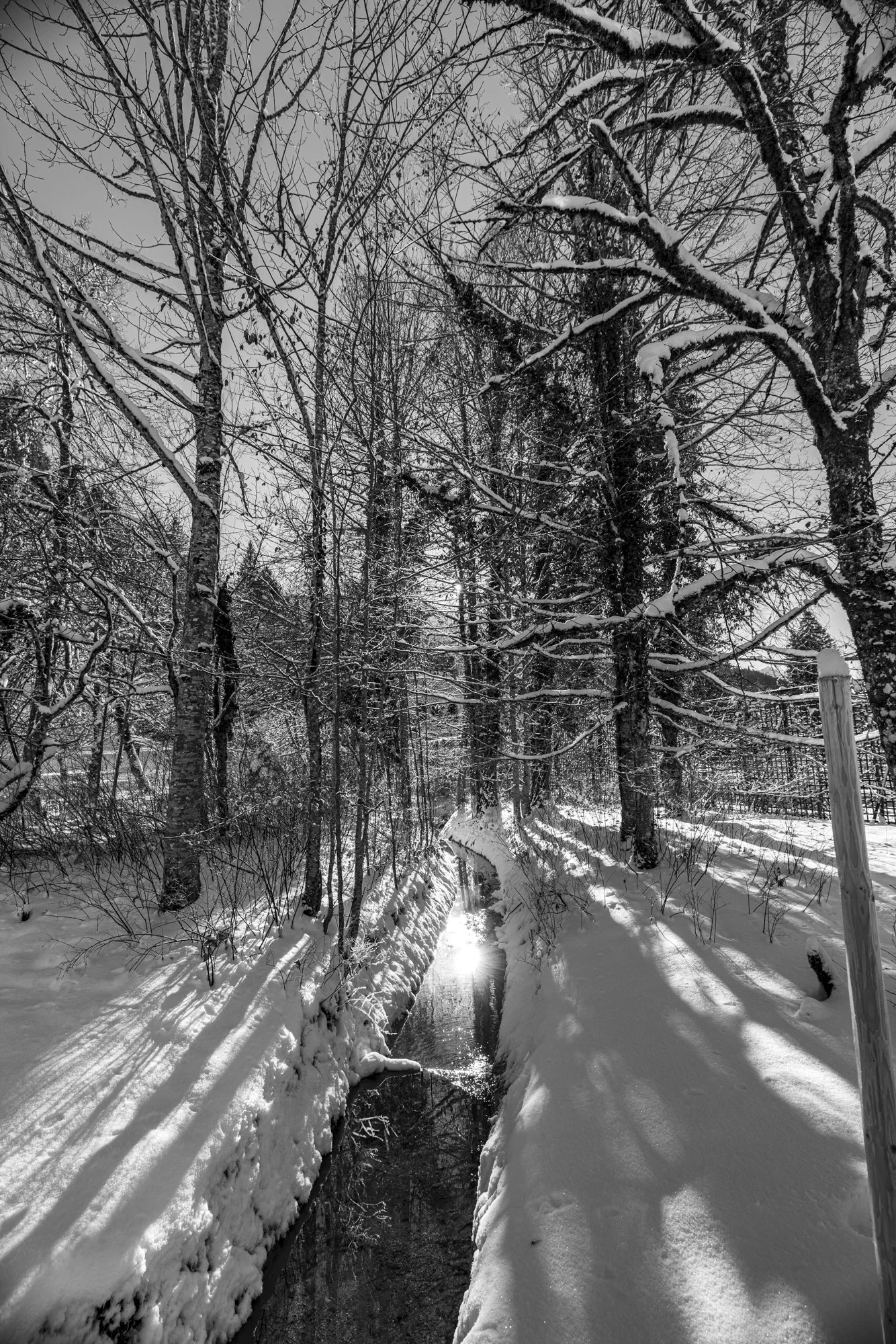 Landscape at Linderhof Palace (B/W)