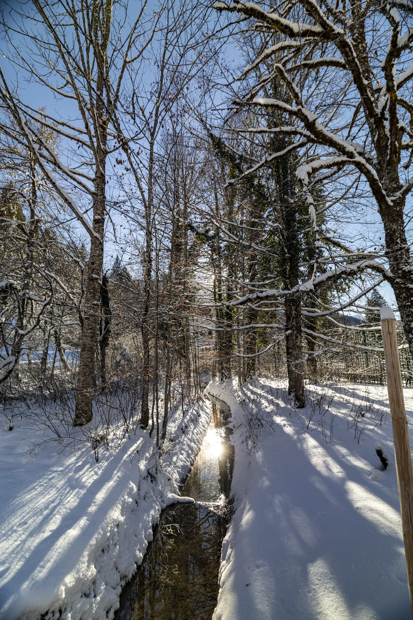 Landscape at Linderhof Palace
