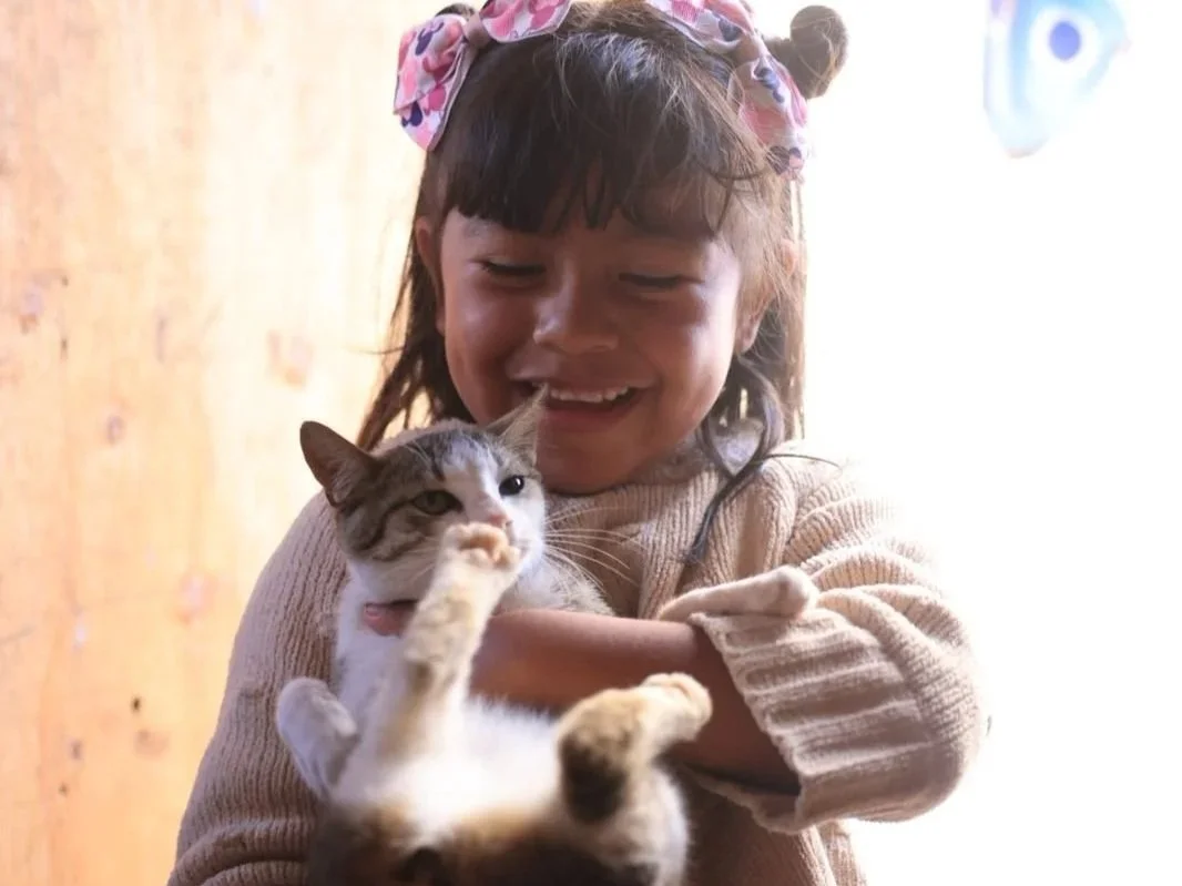 ’Tis the Season: Reflections From Our 2025 Baja Trip