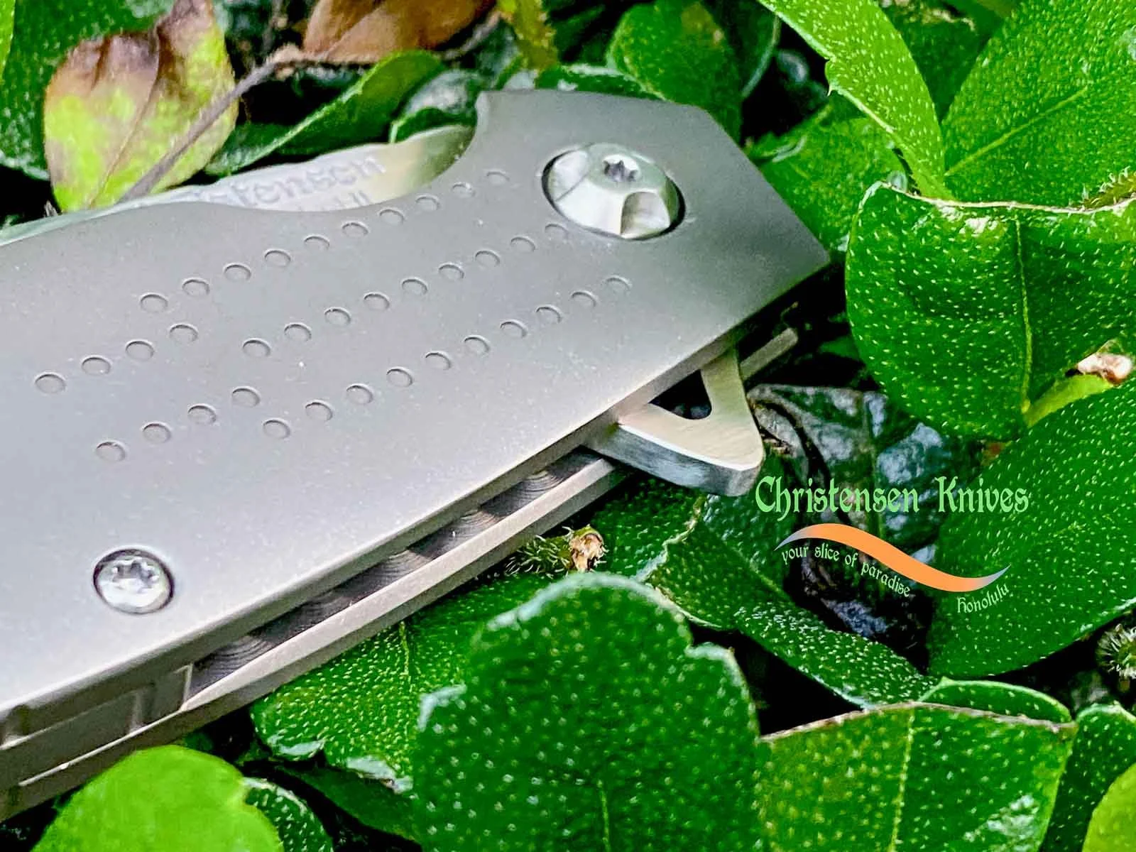 christensen-knives-big-cam-encoder-7226.jpg