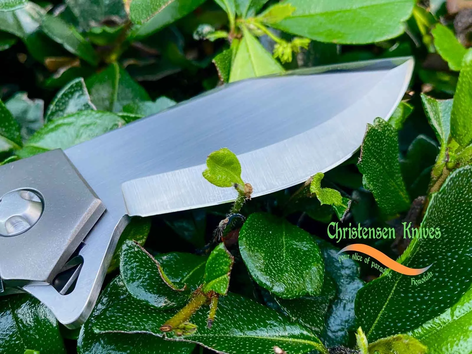 christensen-knives-big-cam-encoder-7226-5.jpg
