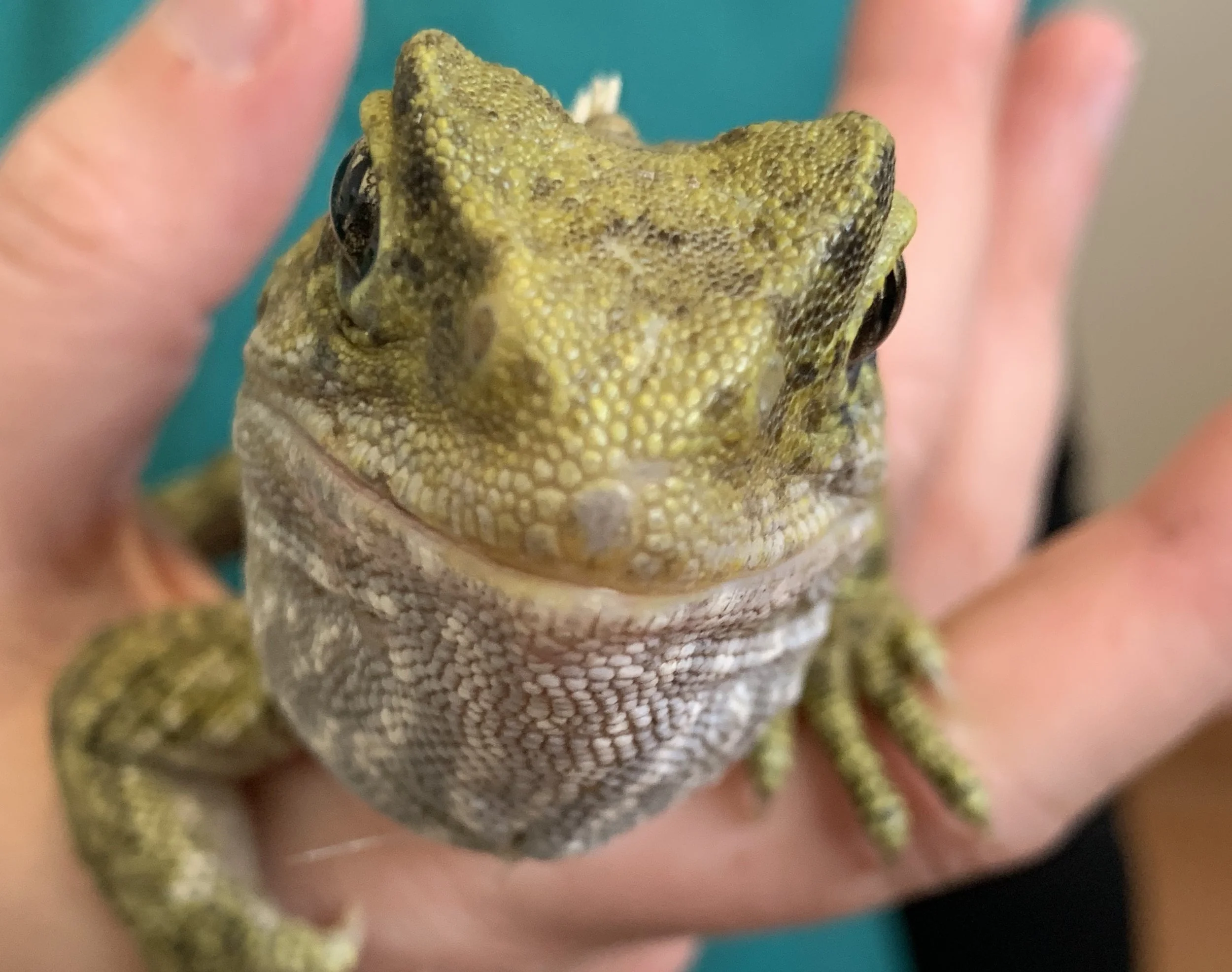 It’s our anniversary!