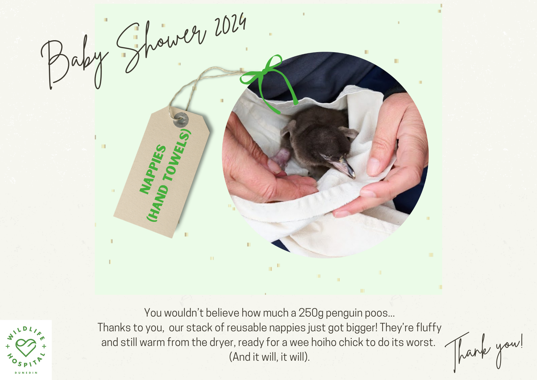 Nappies voucher.png