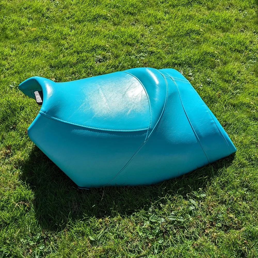 BLUE SKI COVER_01_SM.jpg