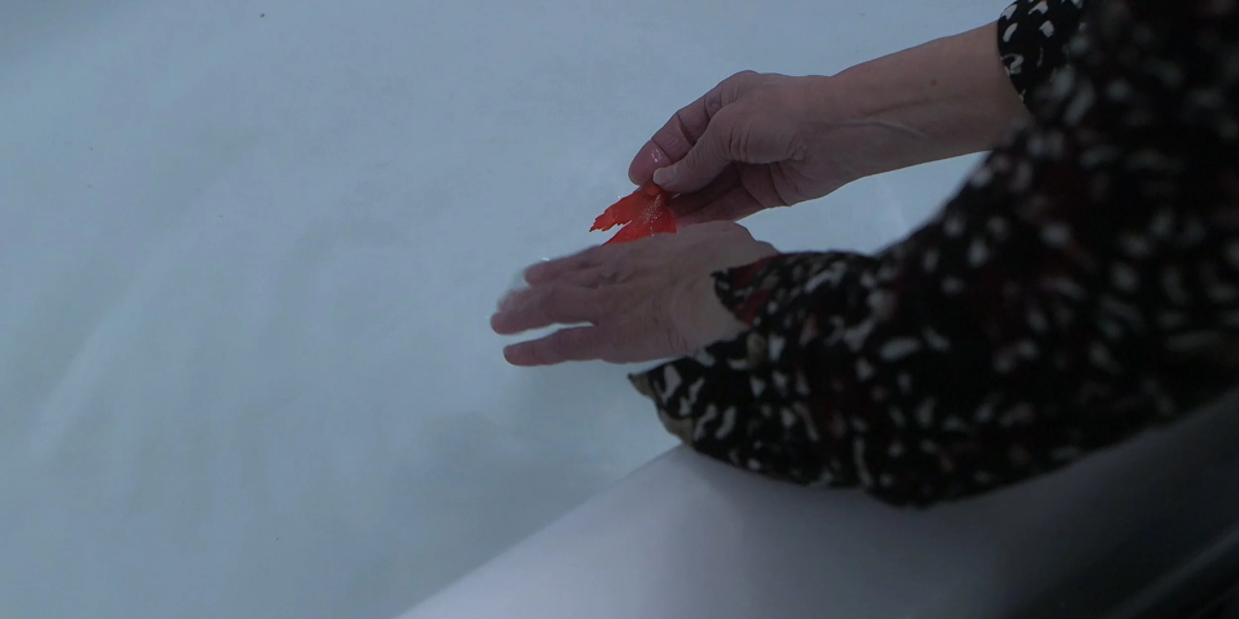 blanche-32.jpg
