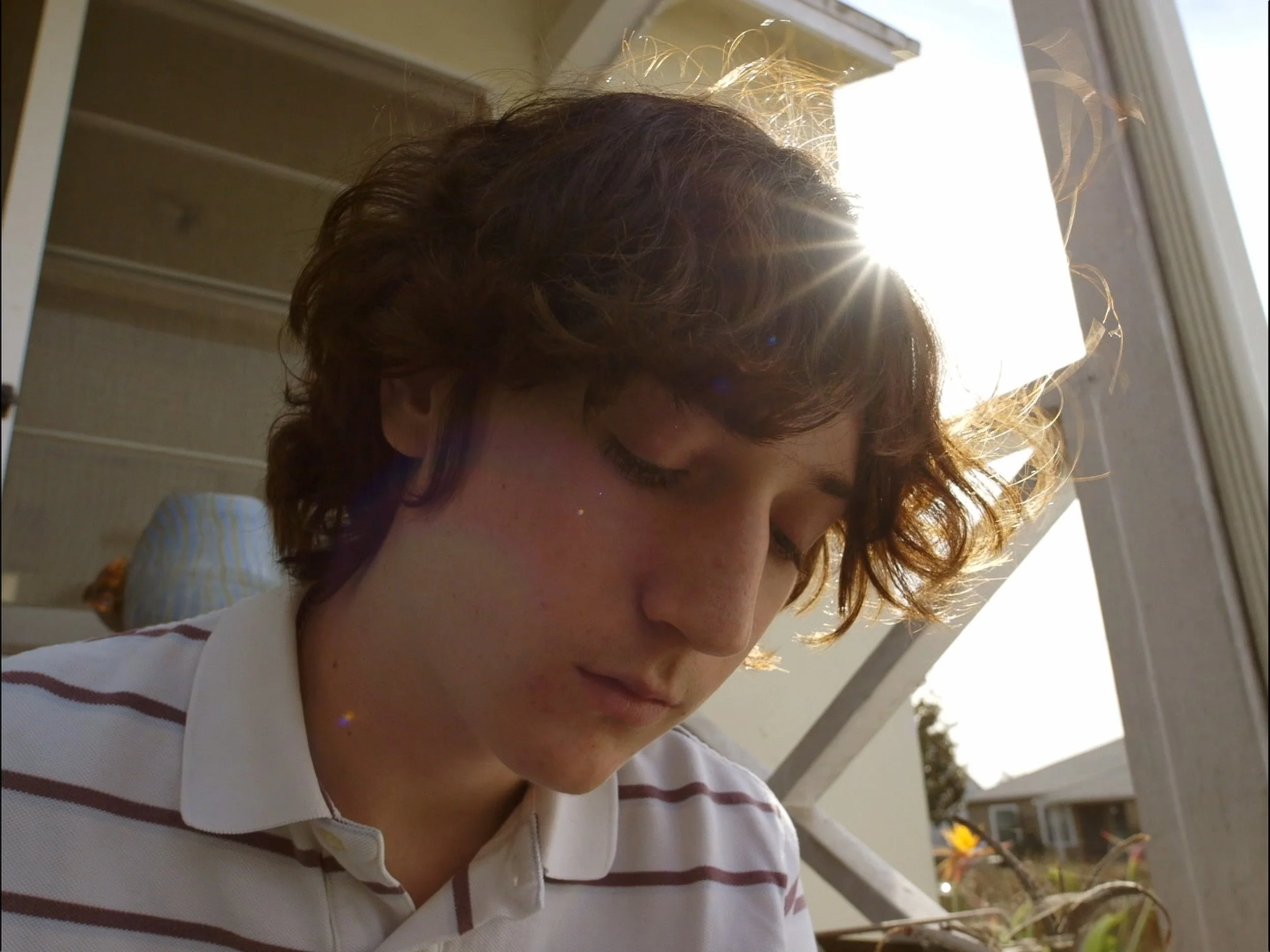 angus-3.jpg