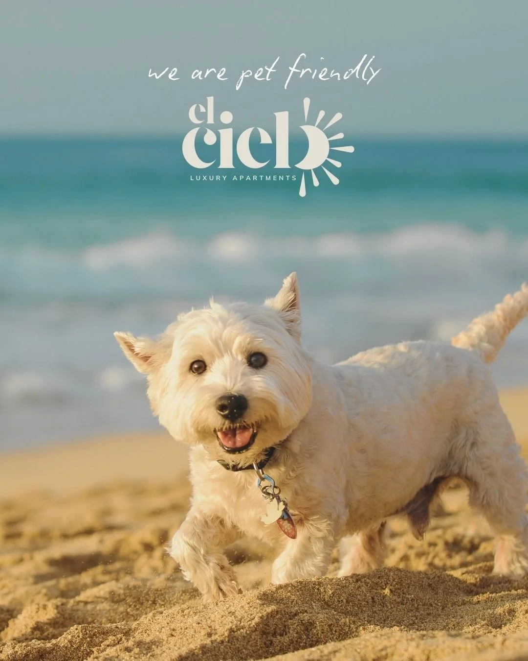 Pet-friendly vacation rentals and boutique hotel accommodations in Sayulita, Mexico.