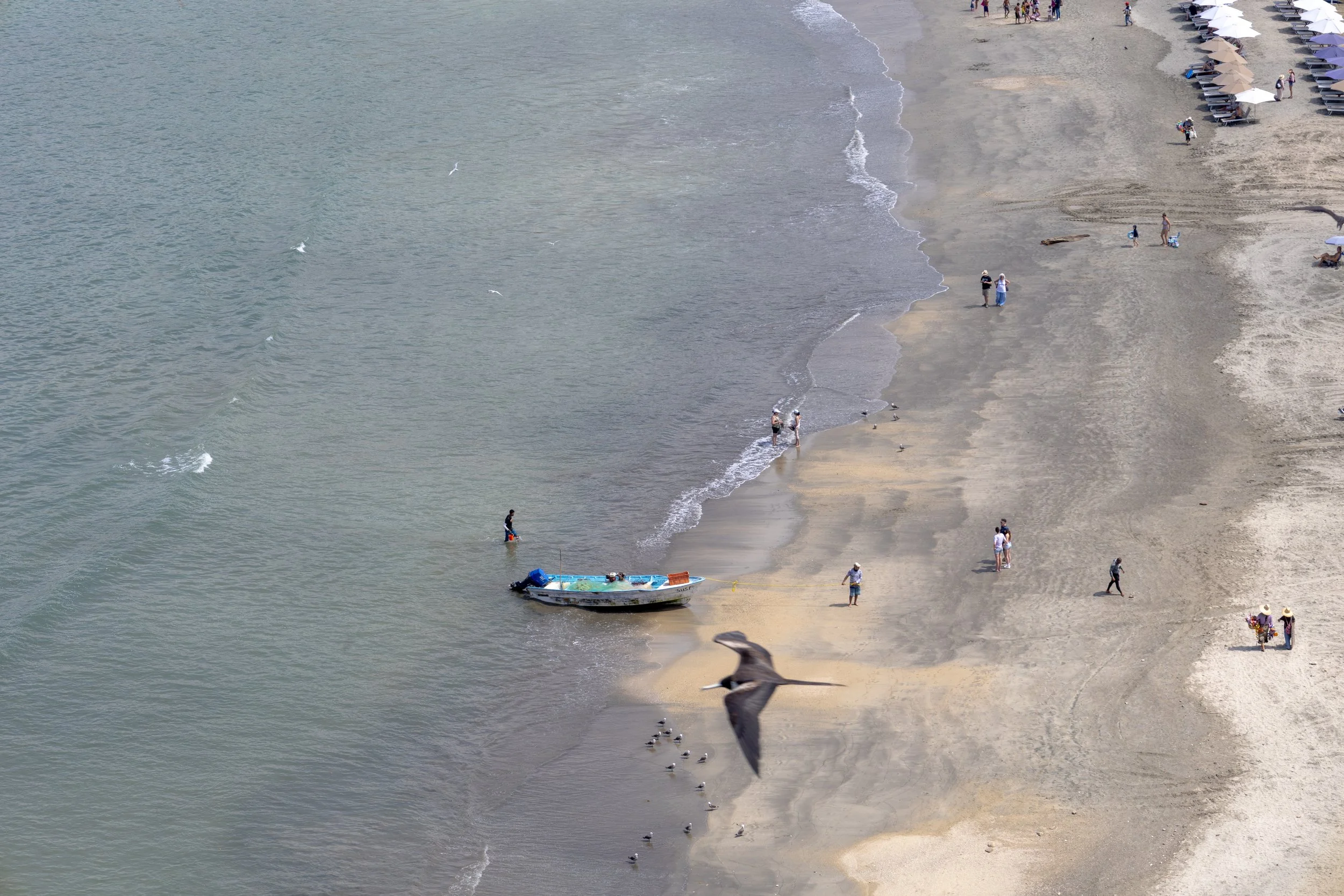 Archivo (2026-03-11T03_27_23(27).jpg