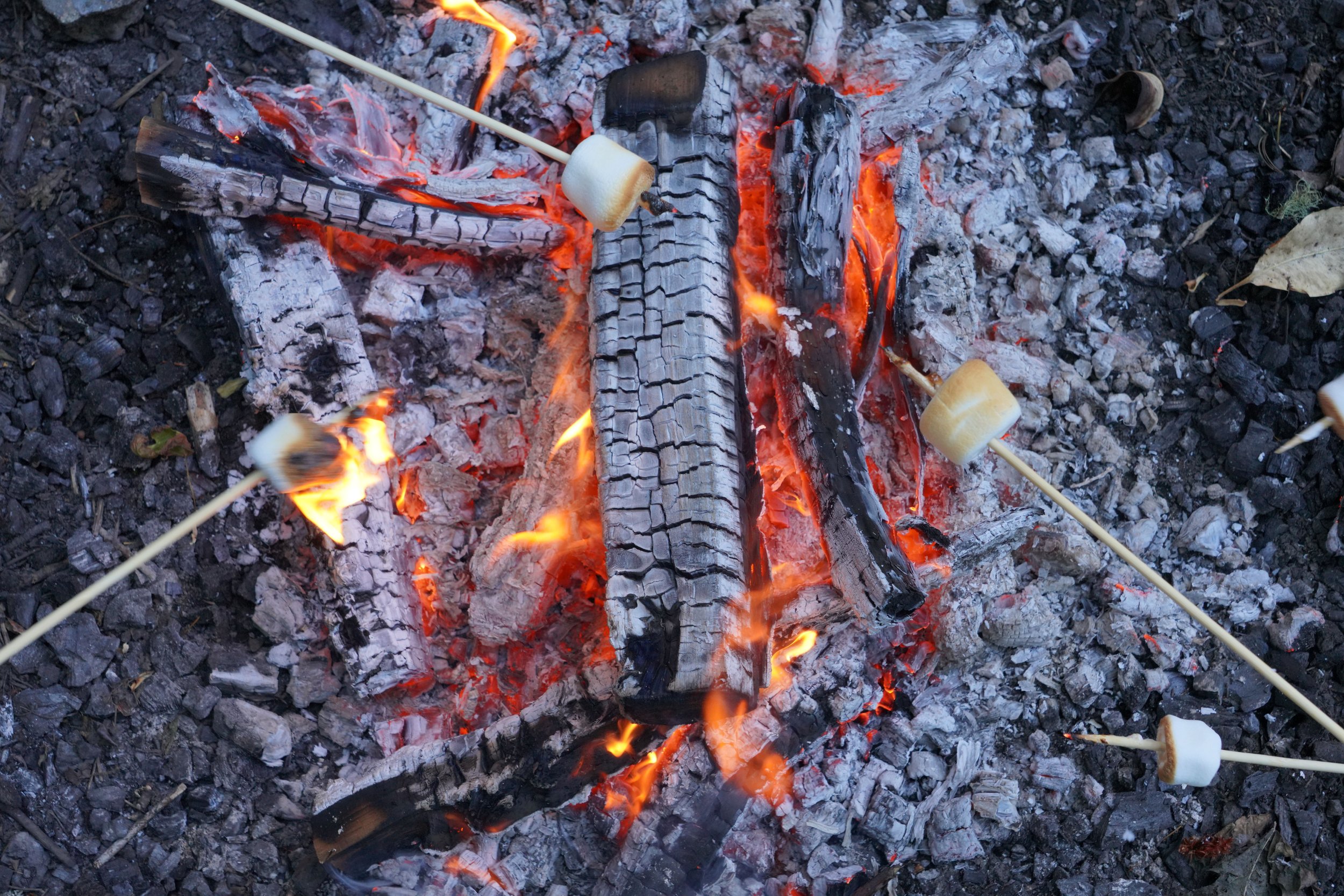 Registration Tips - New Fee Structure