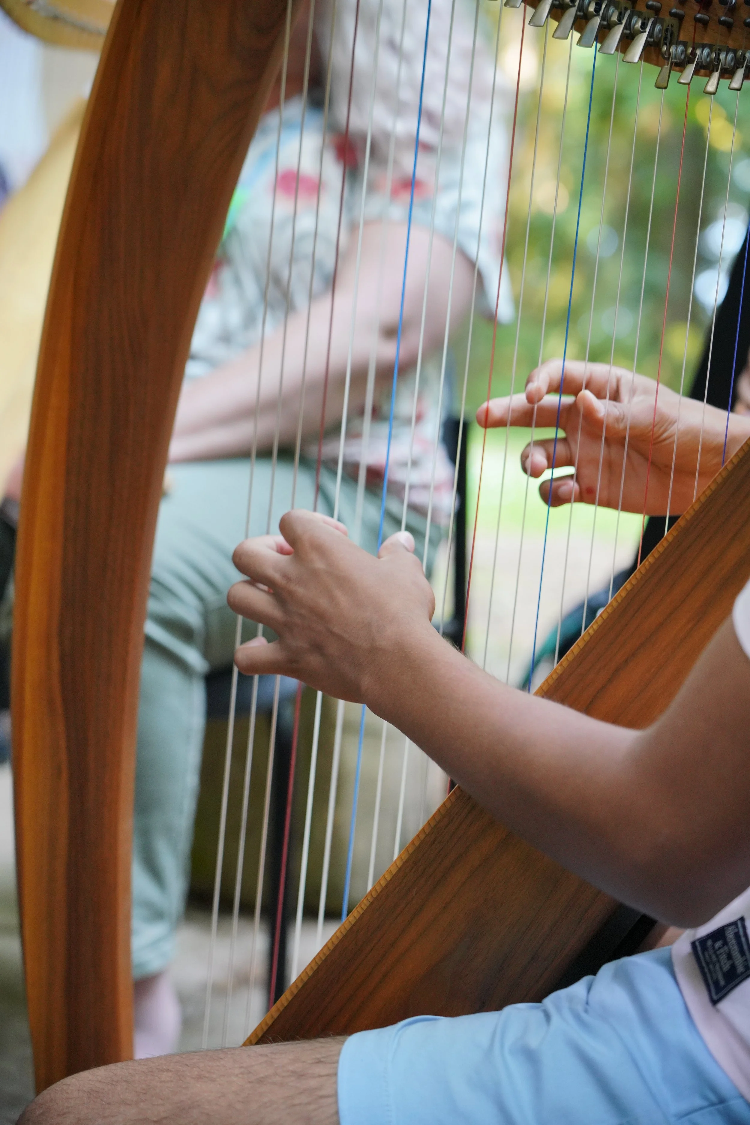 Single harp hands 2.JPG