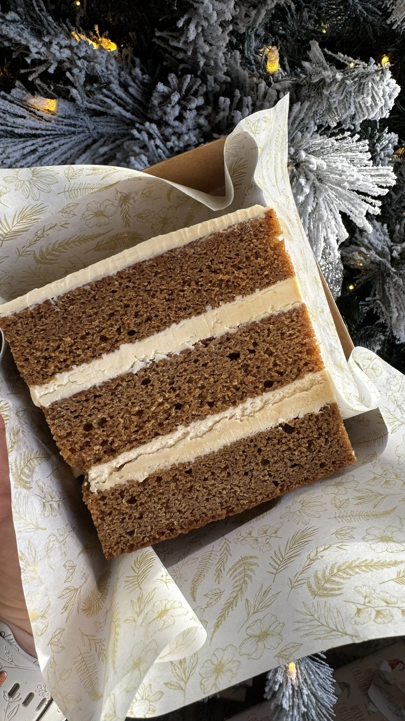 FLASH SALE | Cake Slices