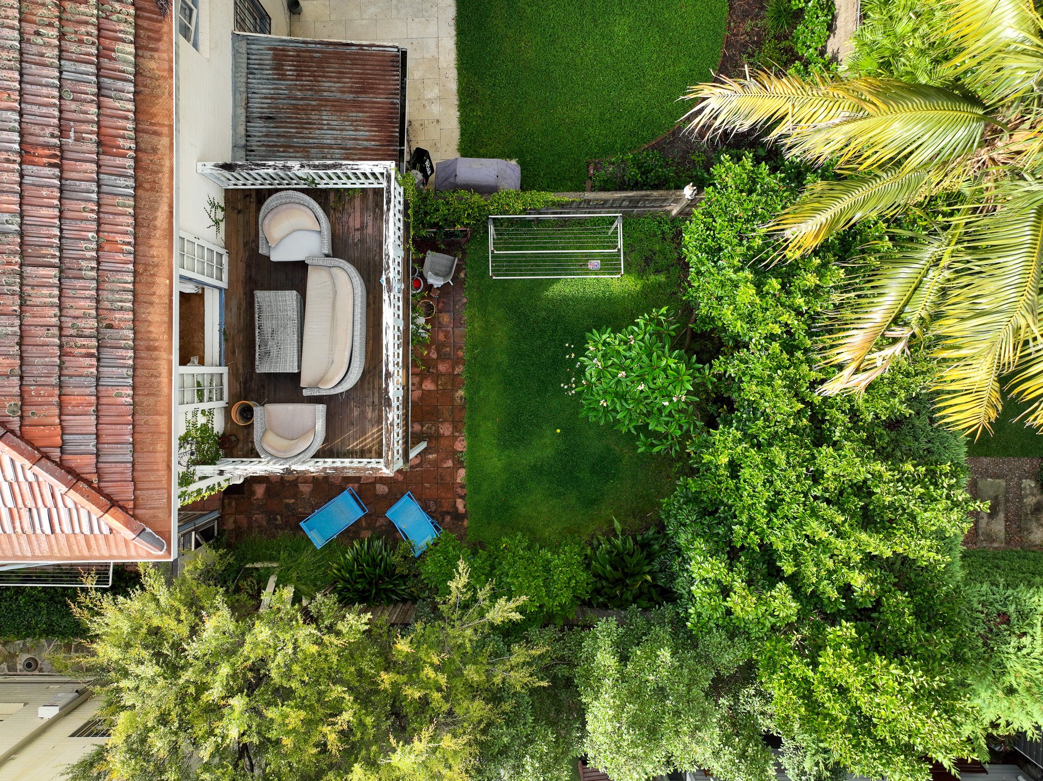 DJI_0036.jpg