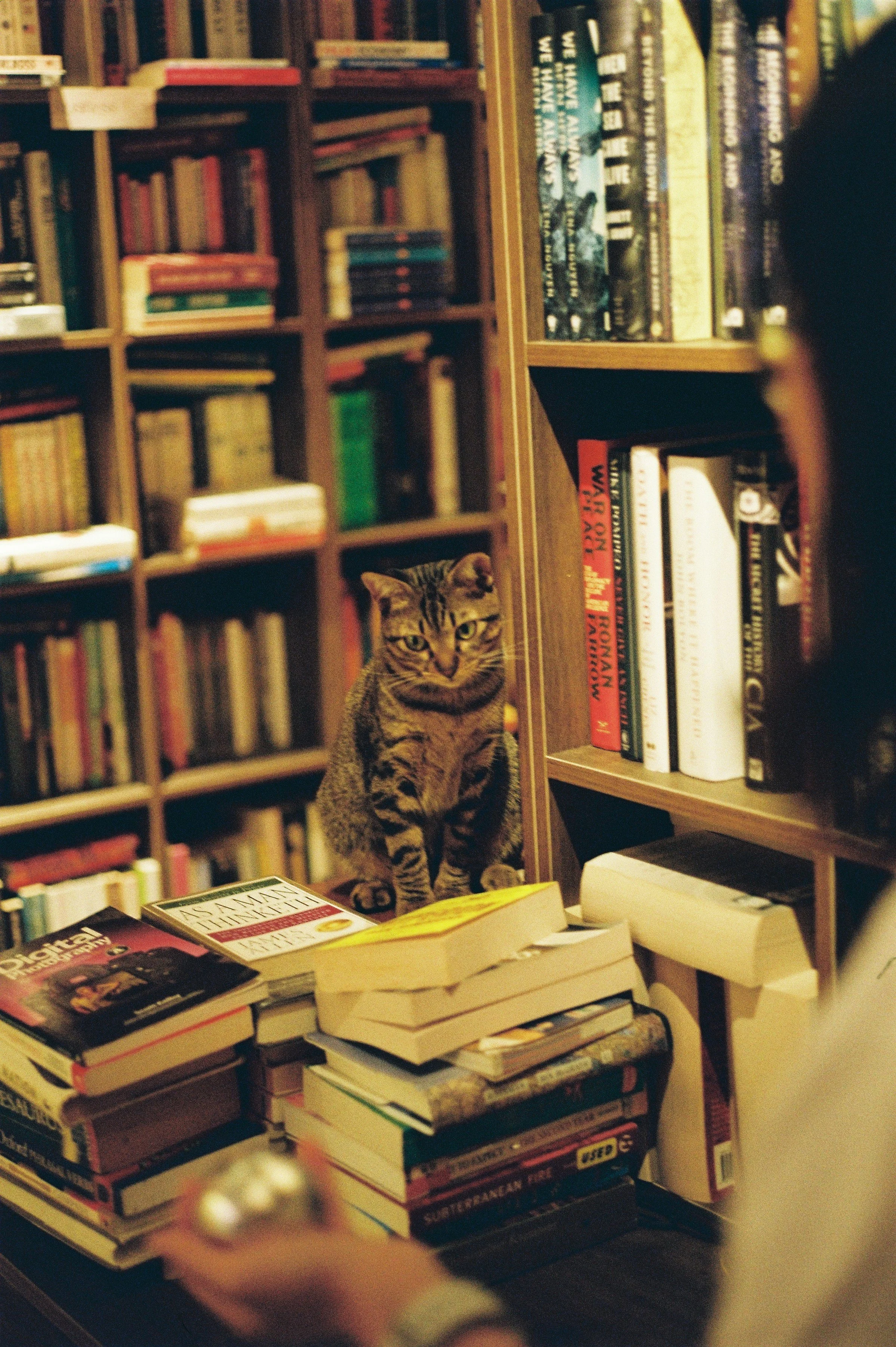 What therapy with me is actually like (and whether we’re a good fit)