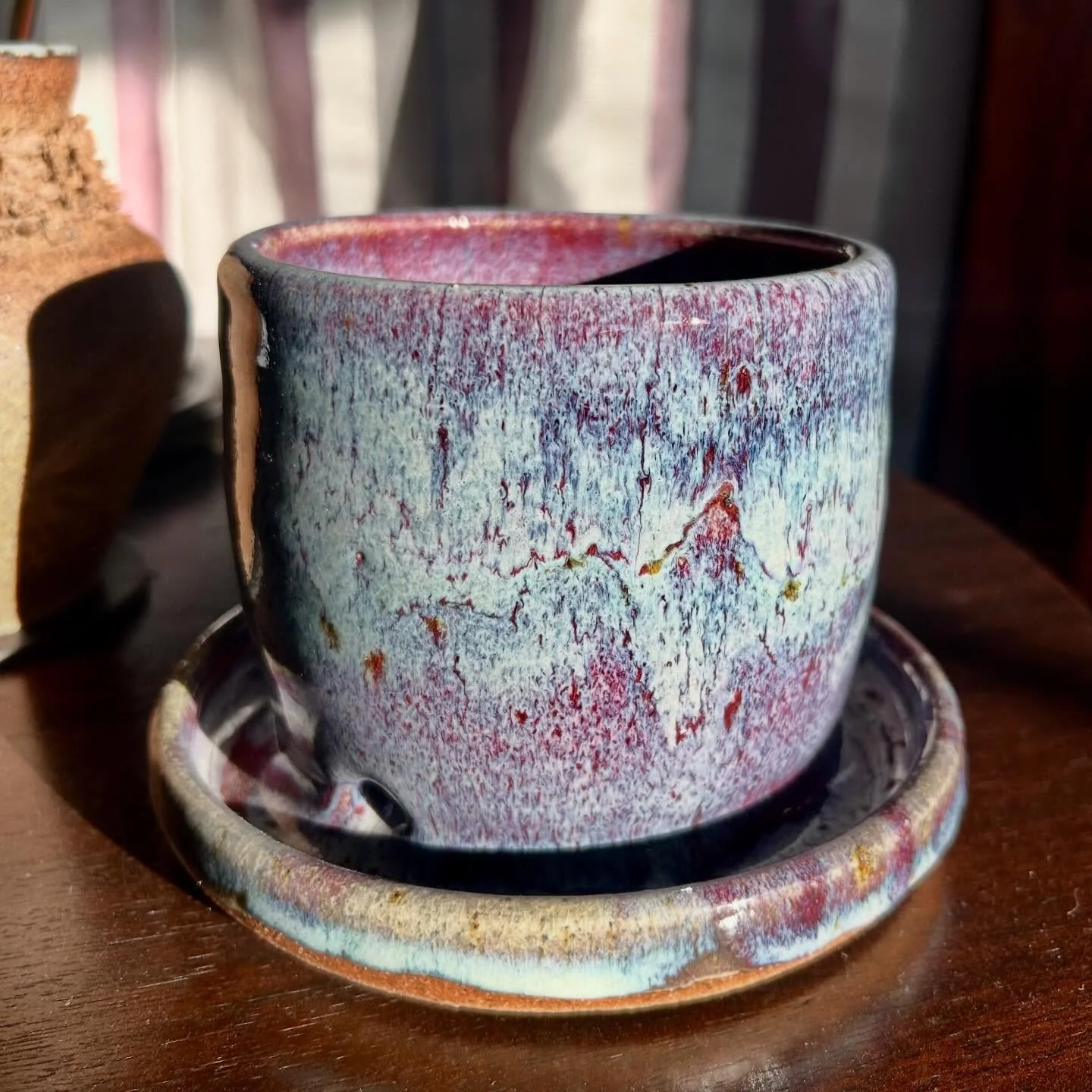 That morning sun making this flower pot sparkle ✨