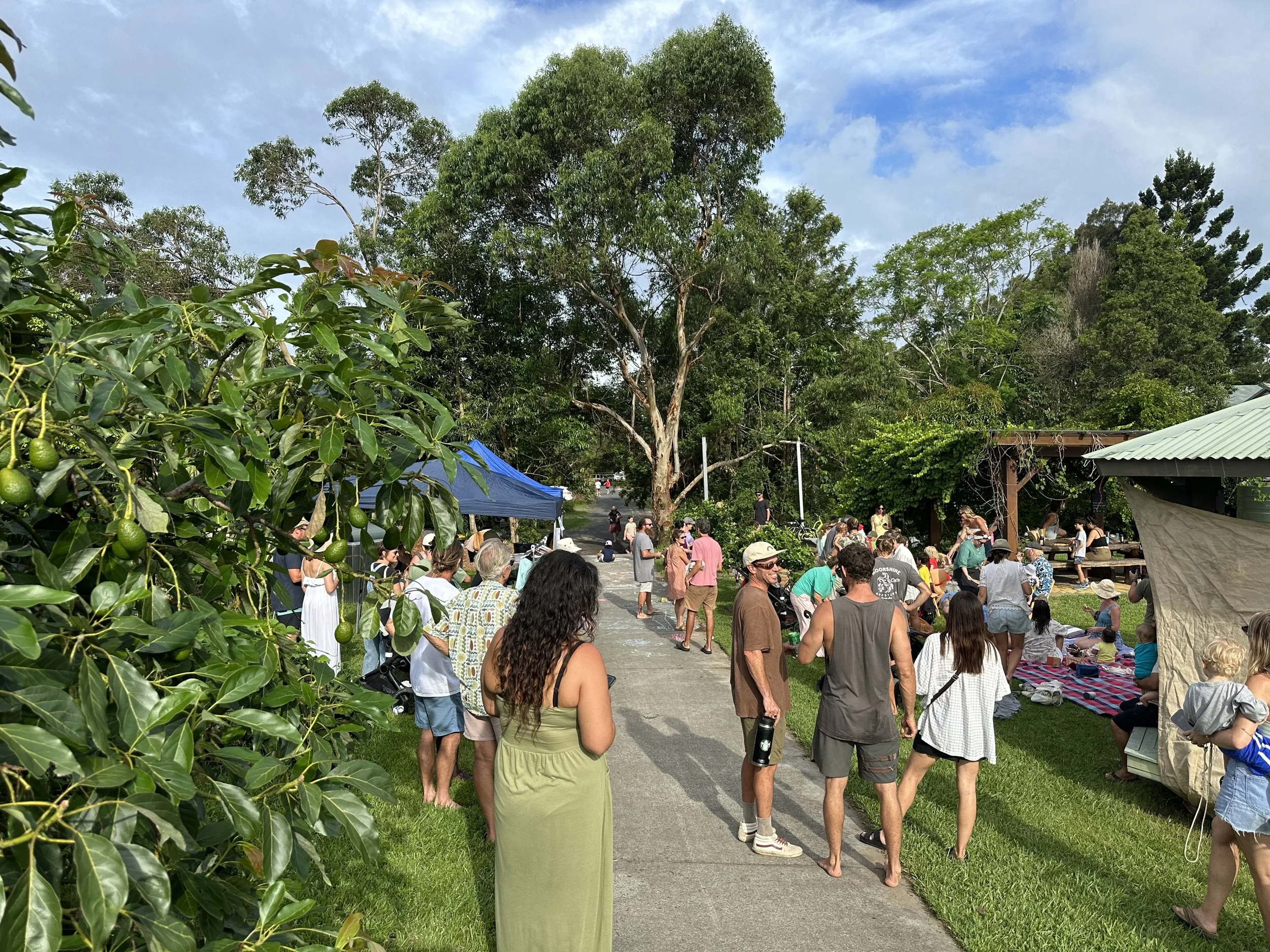 Growing Together: The Story of Shara Community Gardens