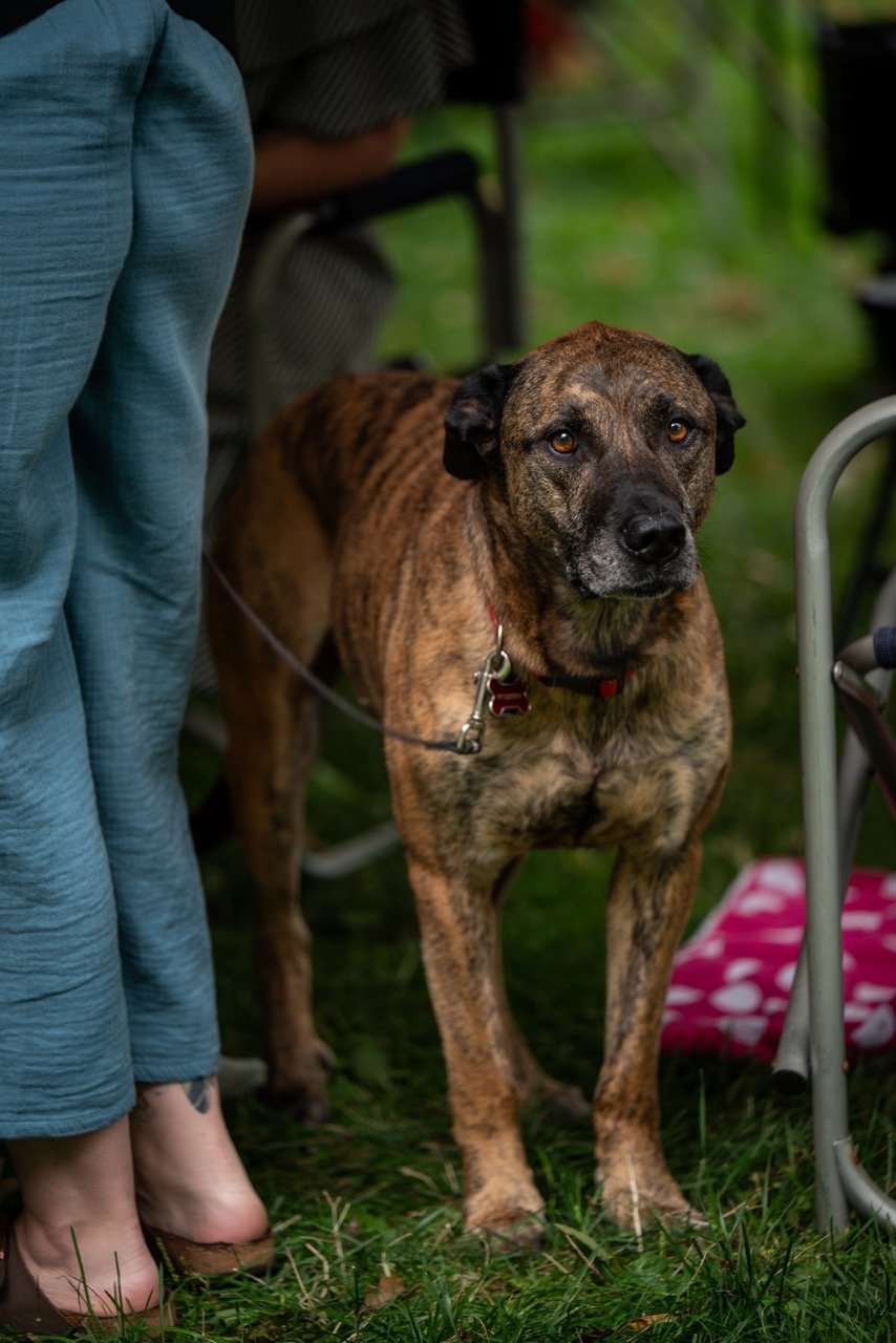 2025_8_17_EcoLloydSummerParty_13 Large.jpeg