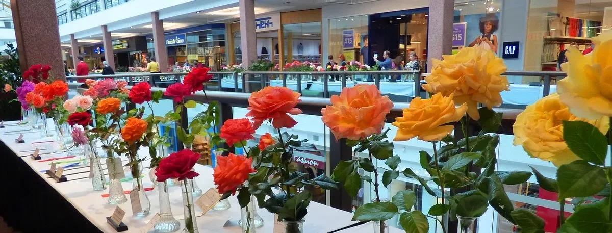 Spring Rose Show @ Lloyd Center 