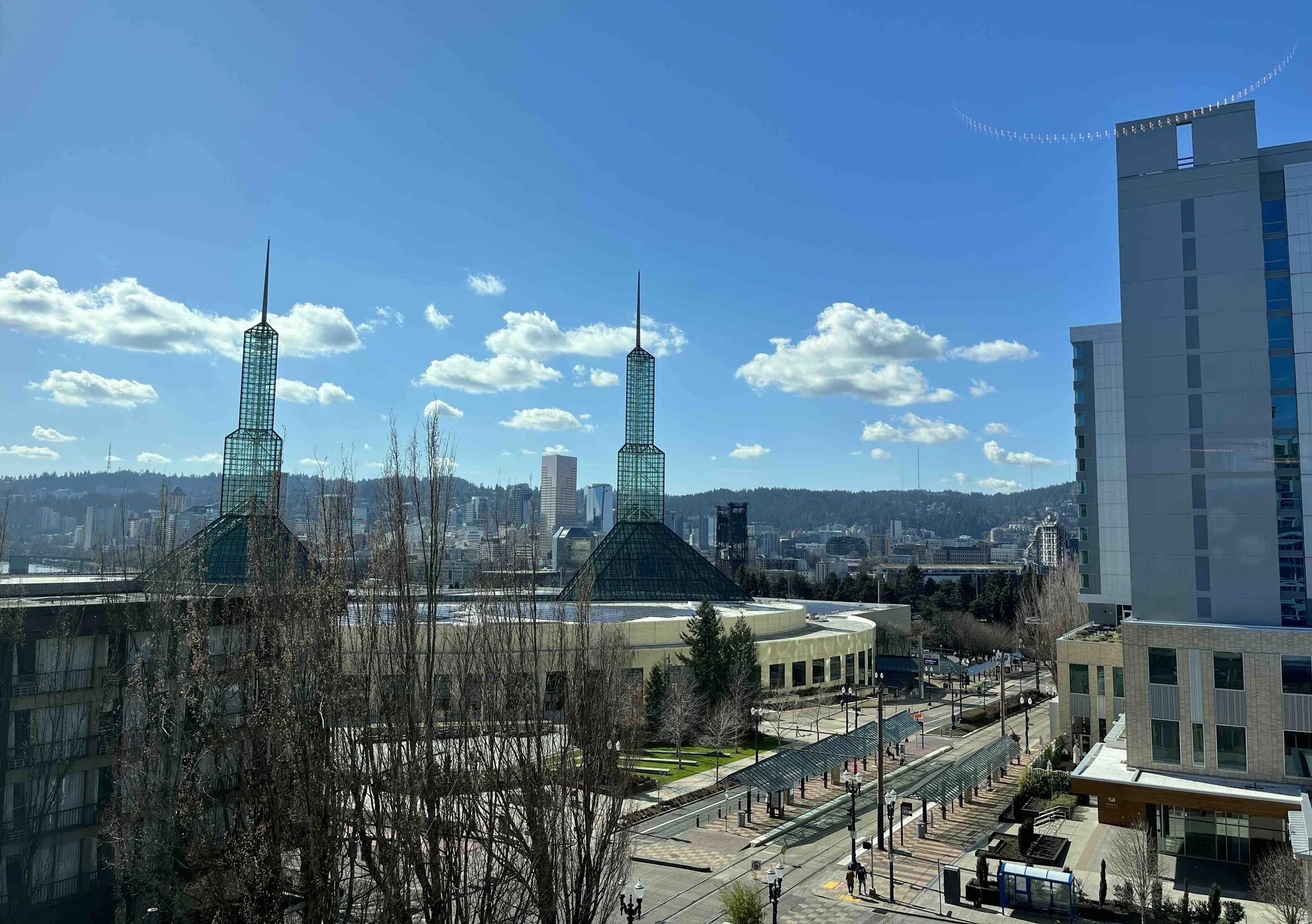 IMG_0806.jpeg