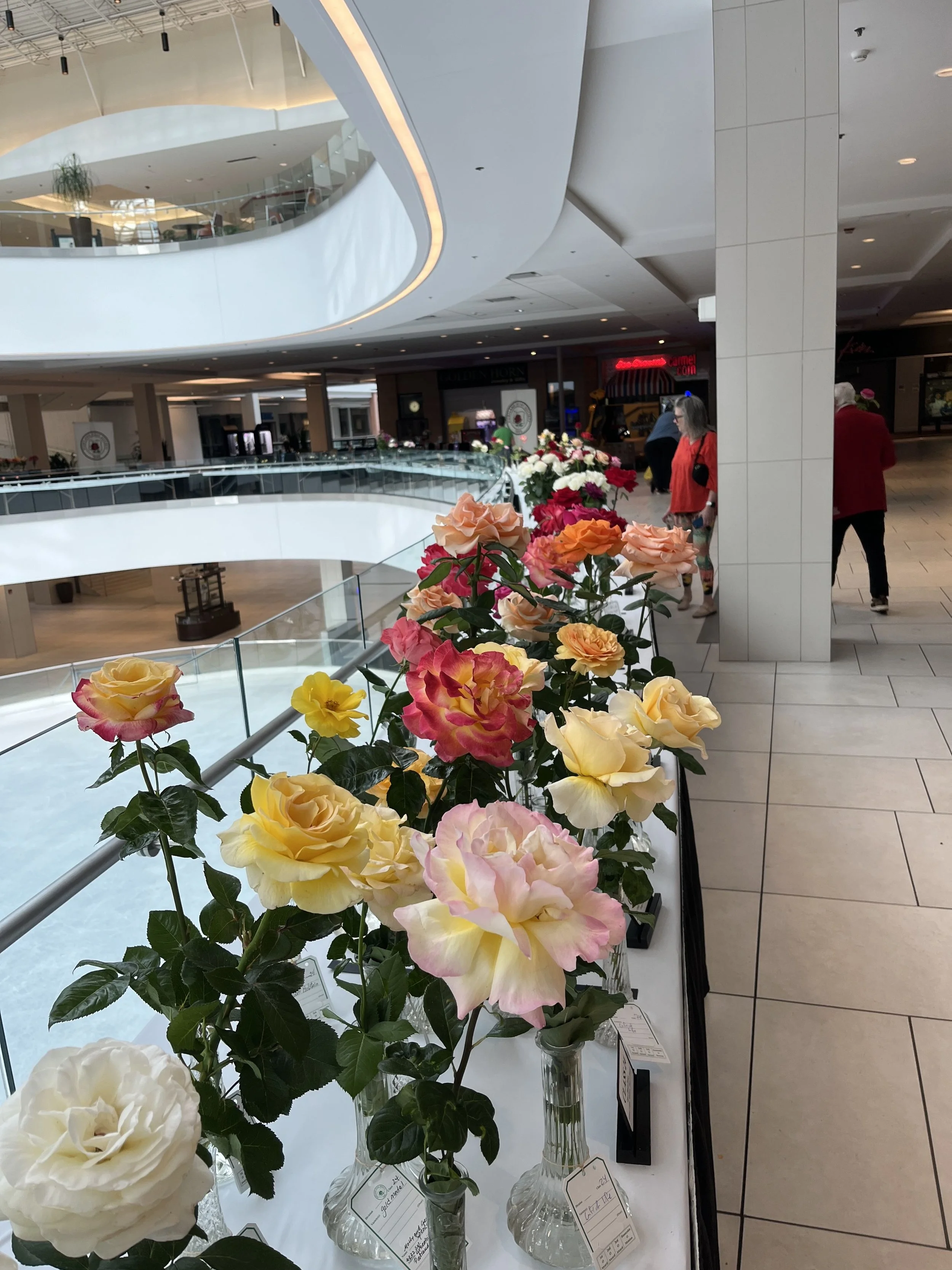 IMG_6751.jpeg