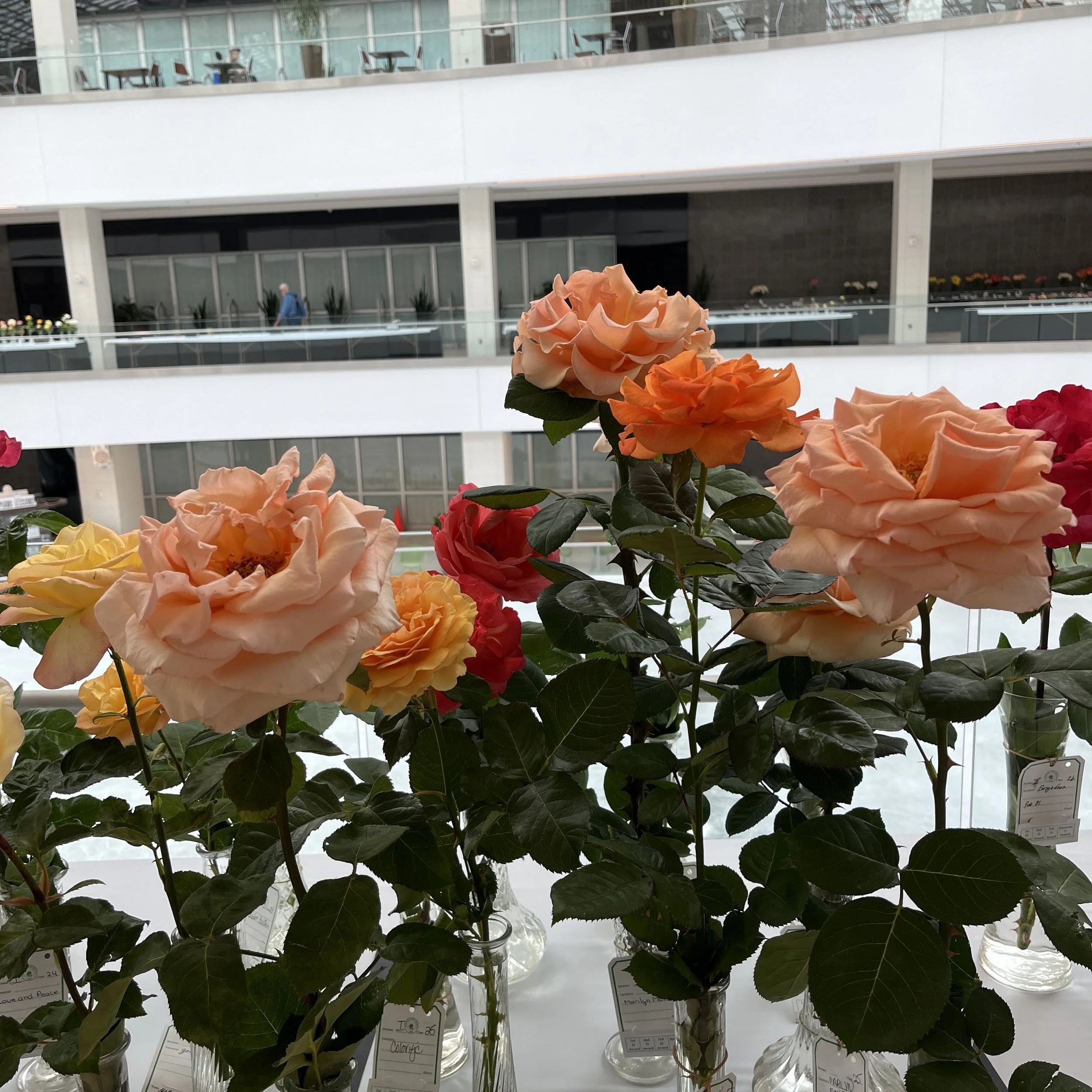 IMG_6761.jpeg