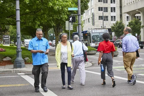 Go Lloyd Mobility Committee