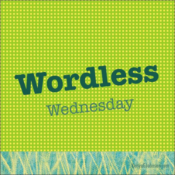 Wordless Wednesday ~ Love is...