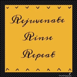 Rejuvenation: A Refresher Course for My Life