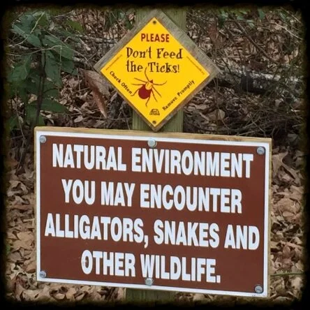 Don't feed OCD, phobias or ticks...