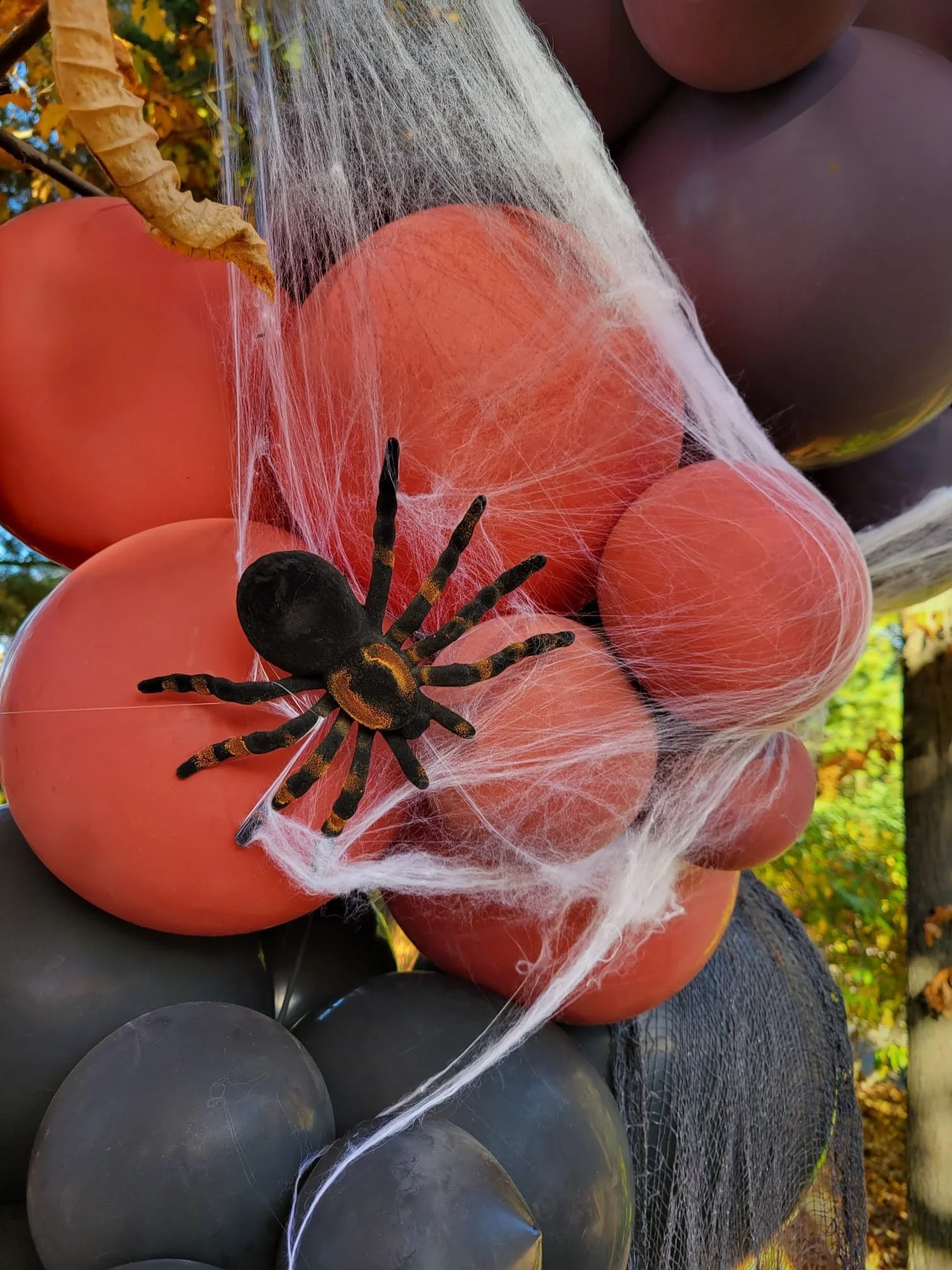 Halloween 6.jpg