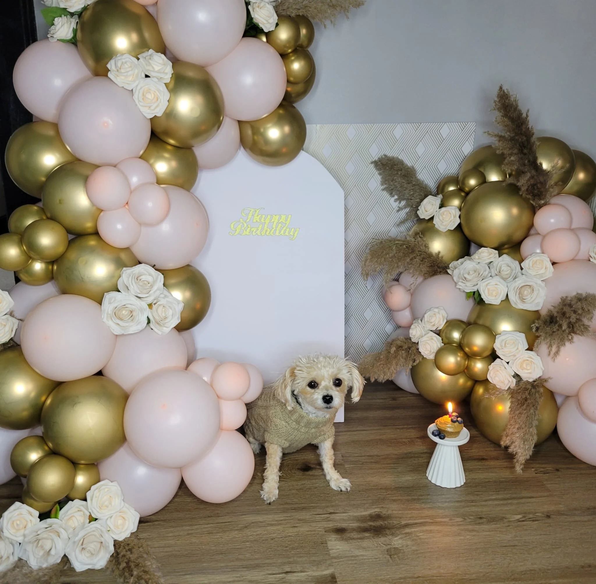 Pup 1.jpg