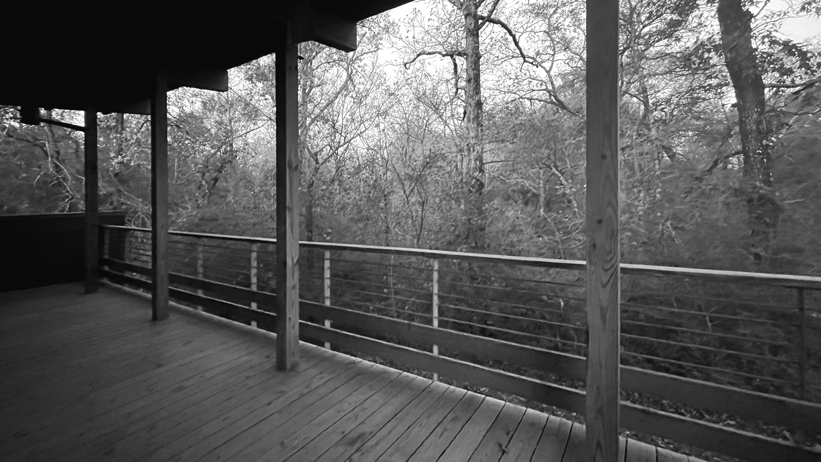 The Way Too Big Cabin