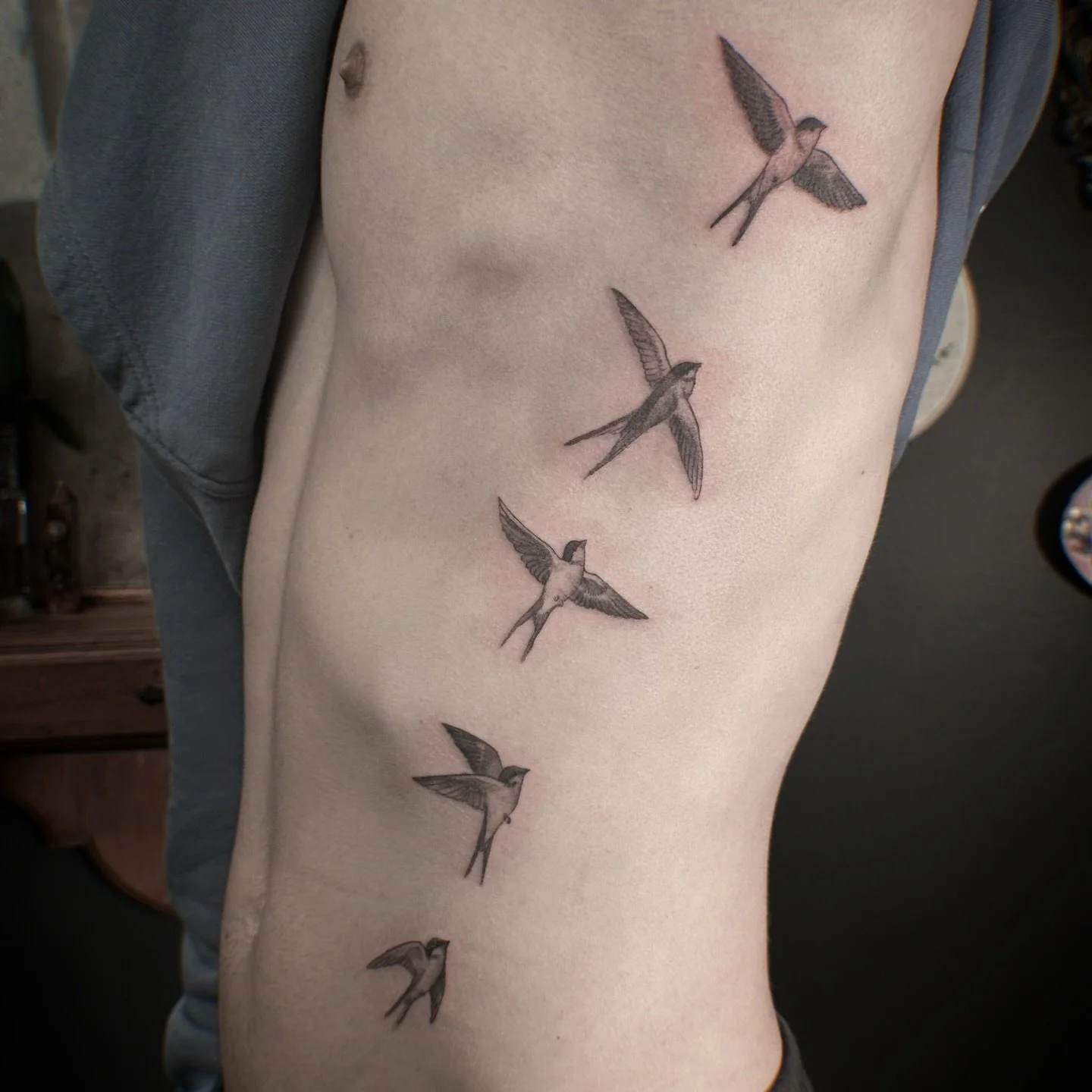 Some black and grey swallows for Ryan. Thanks for dropping in again before going away again!