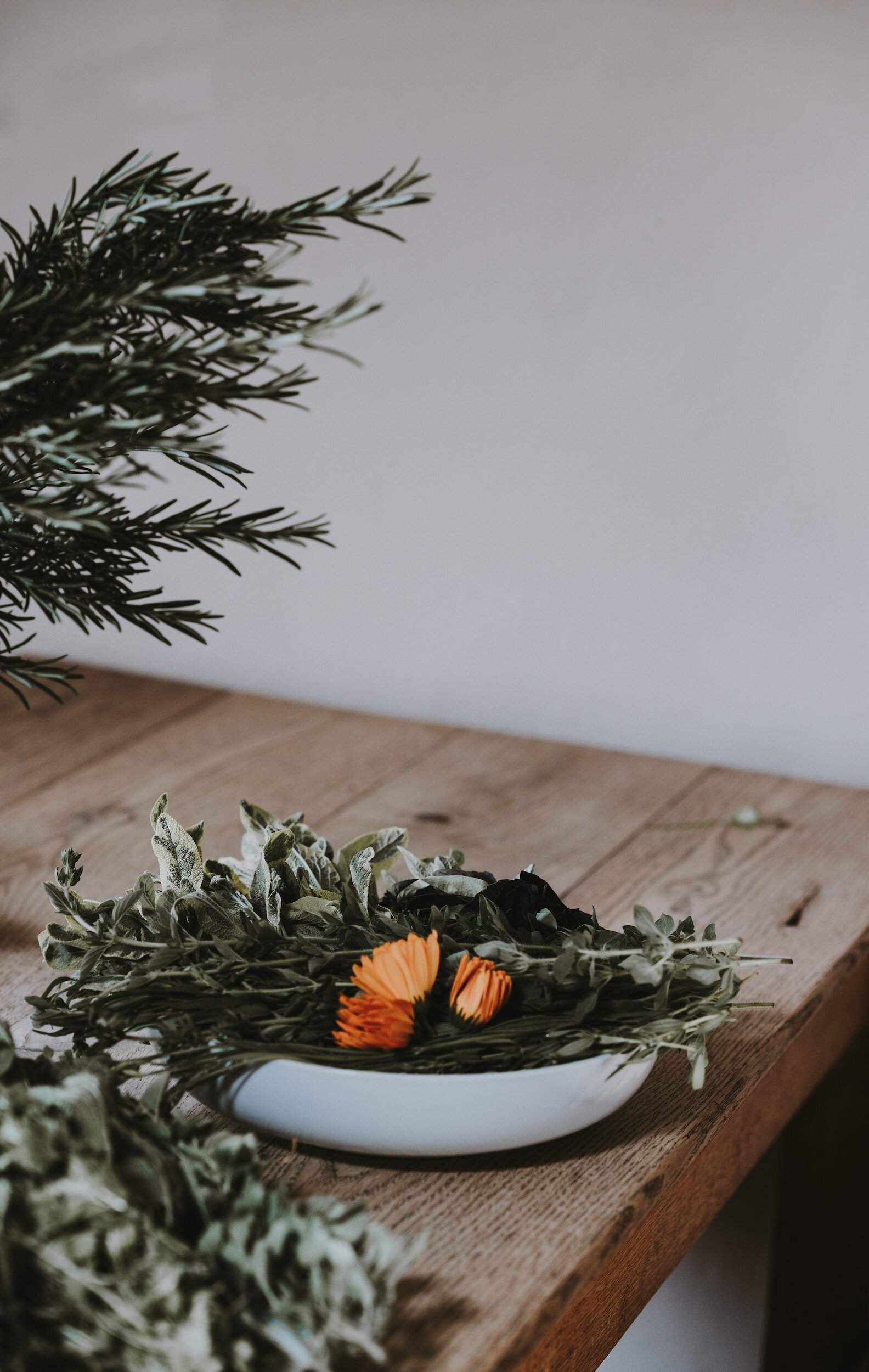 From Belly to Burnout: Understanding How Gut Health Impacts Adrenal Fatigue