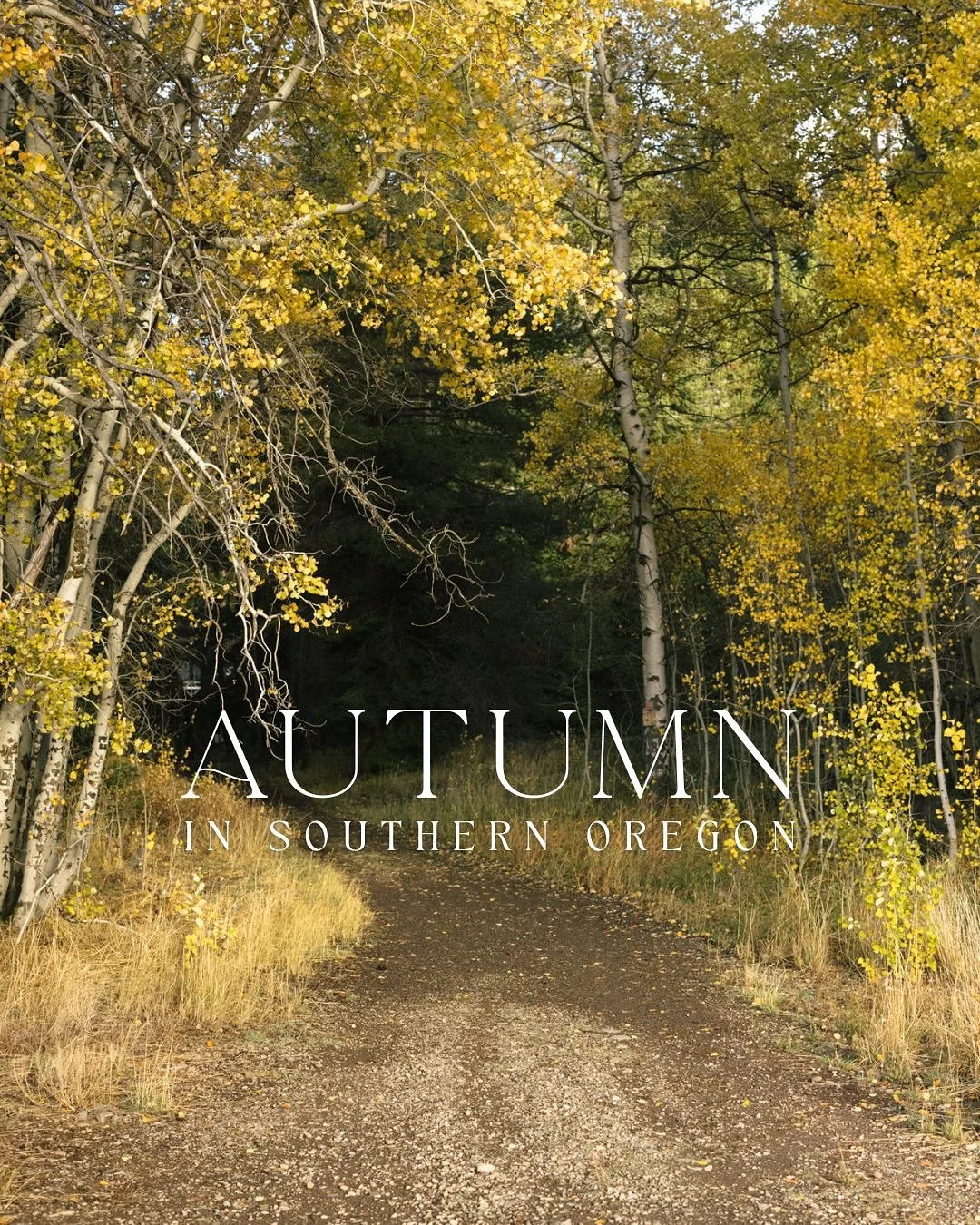 🍂 Autumn in Southern Oregon 🍂

My favorite time of year is here! The air gets crisp. The leaves change colors, and the holidays draw bear. This is truly one of the most beat times for photos! 

October - November I will be opening a few weekends fo