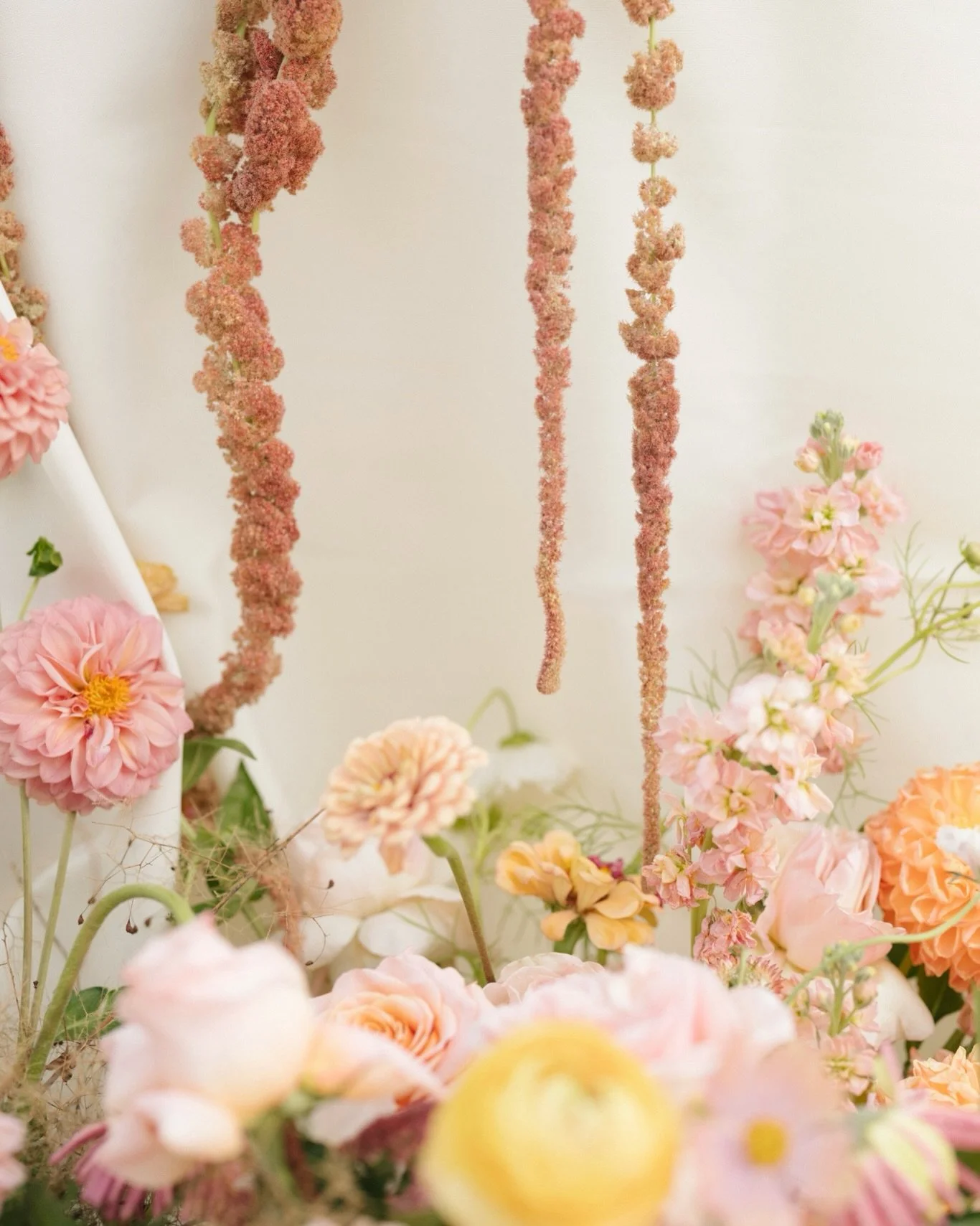 A moment for one of my favorite florist in Oregon! ✨ &mdash; I&rsquo;ve been caught up with all my editing that I&rsquo;m finally able to look back at all the second shooting gigs I&rsquo;ve had over the year. I spent this morning making sure all my 