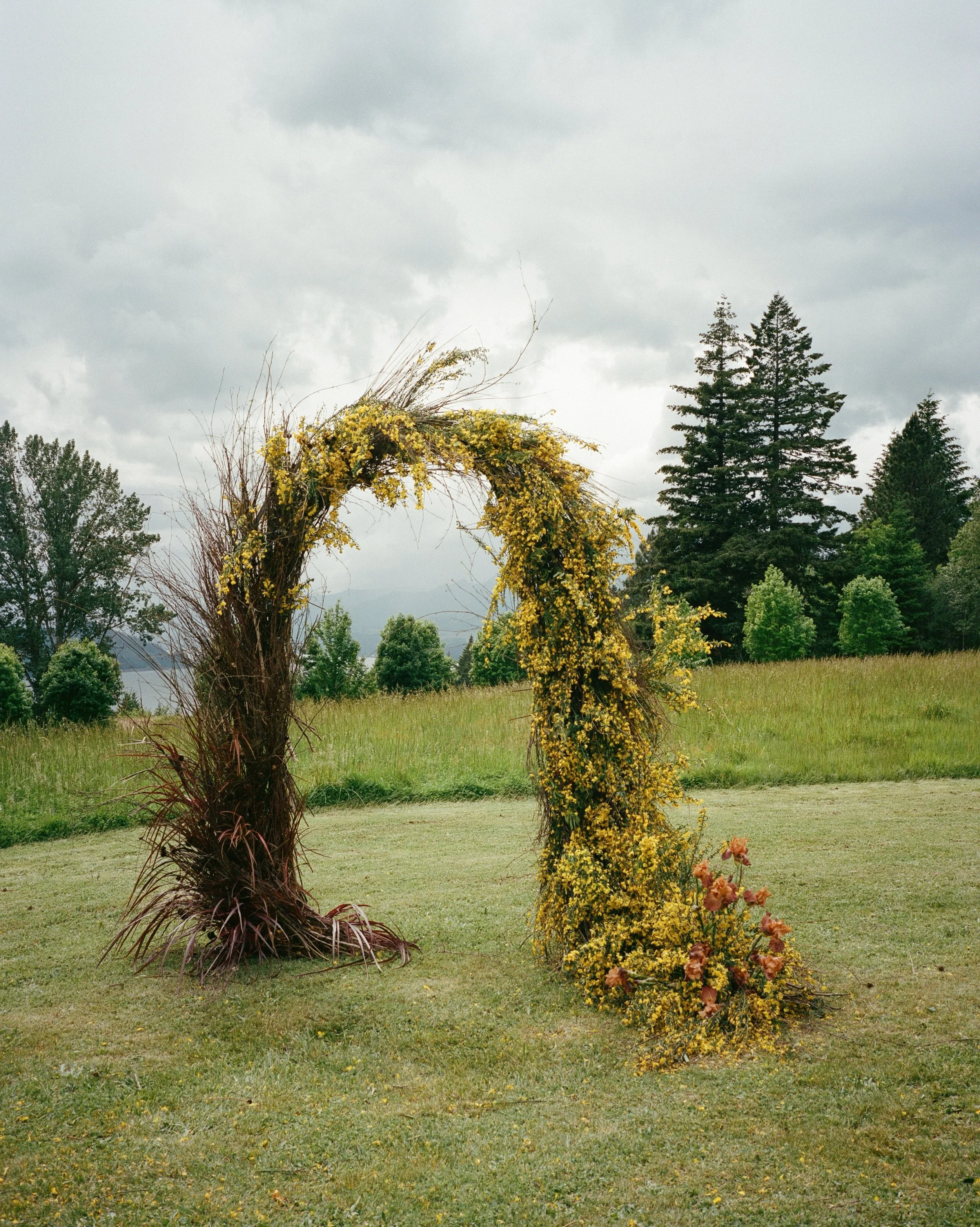 When you give your vendors permission to lean into their creativity, the create the most beautiful things you could never have dreamed of. 🪄 Sarah and the team @manetteflowerco created this incredible arch using Scotch Broom (Cytisus scoparius) that