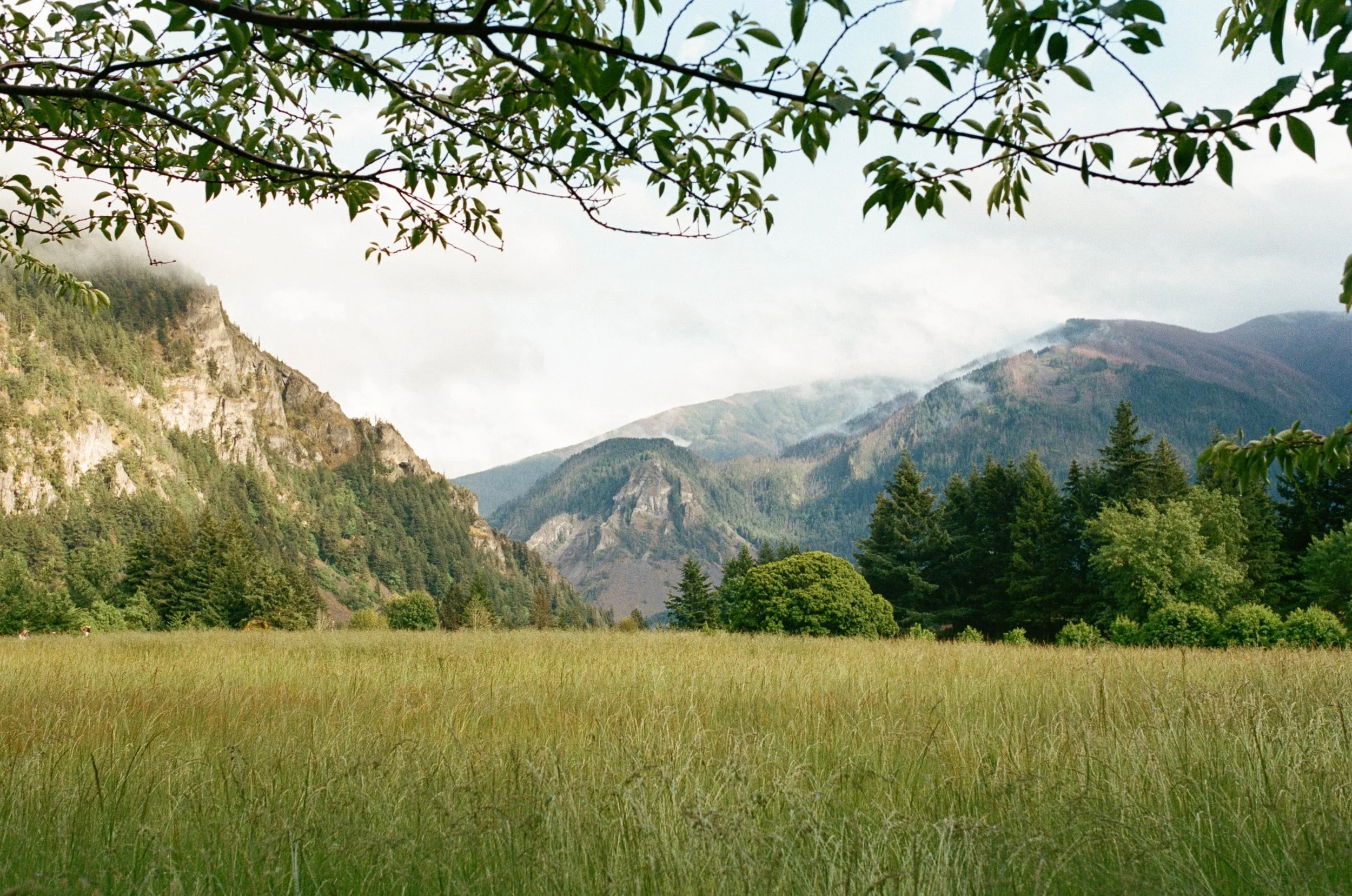It&rsquo;s a good day for a wedding at Wind Mountain Ranch. 

-

Photo: @gabrielramirez.photos 
Venue: @windmountainranch 
Film Lab: @indiefilmlab 

-

#gabrielramirezphotography #windmountainranch #portlandoregonweddingvenue #oregonweddingvenue #ind