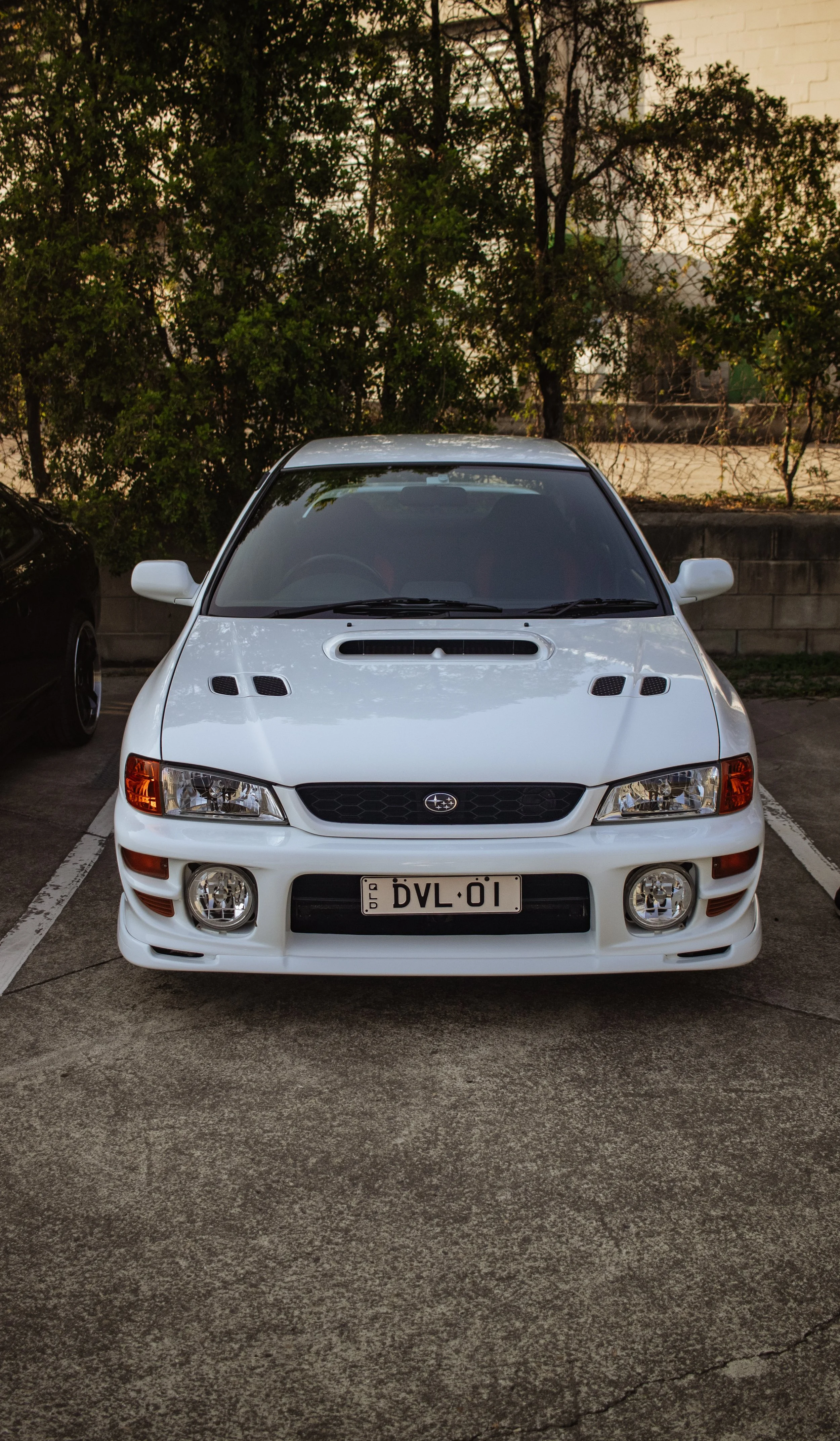 _MG_9464.JPG