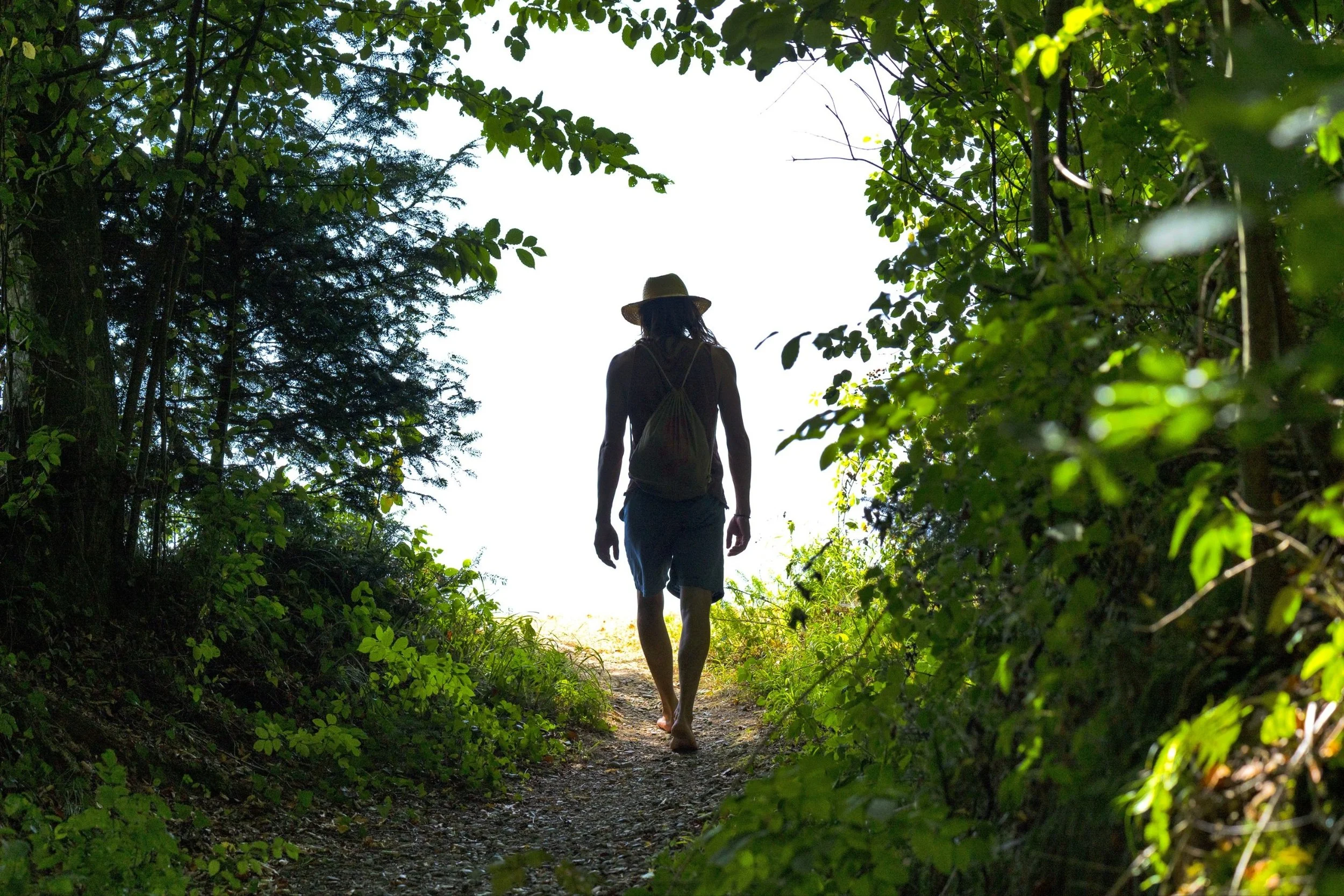 Simon Harm Brunken mit Hut und Rucksack läuft barfuß durch einen grünen Waldweg, umgeben von Bäumen und Blätter, Blick von hinten, Familienstellen, Haka Krafttanz, Rituale