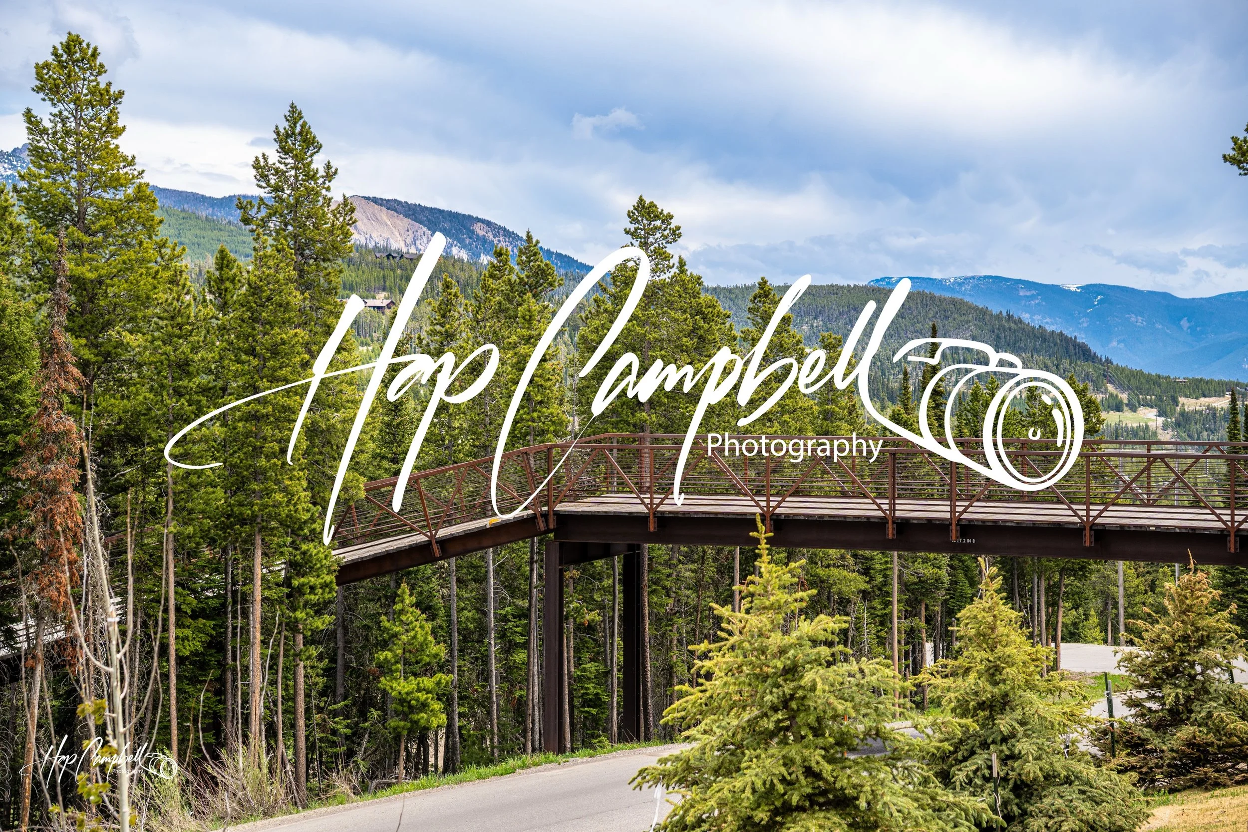 Alpines and Walkway Bridge Montana.jpg