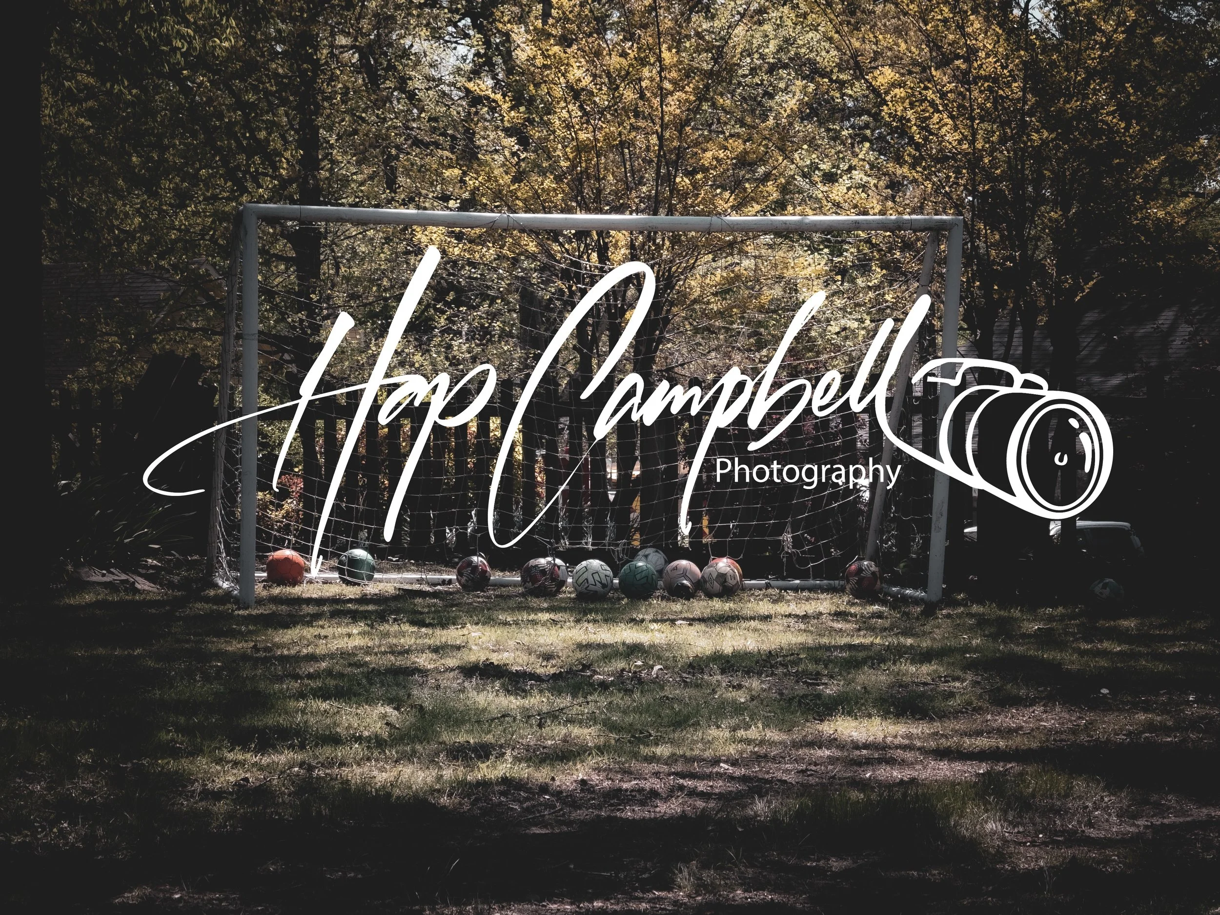 Soccer Goal with Balls Ryan.jpg
