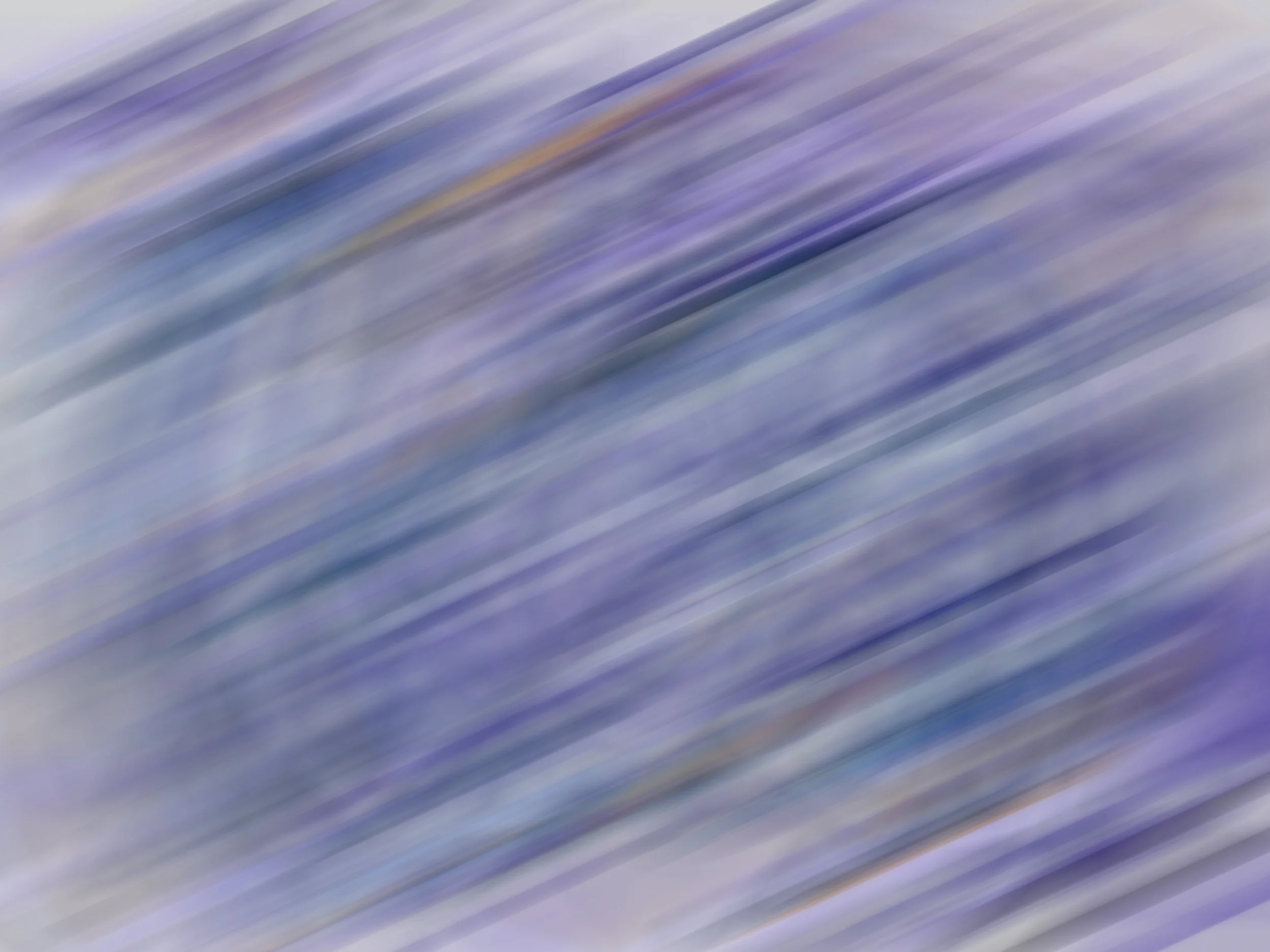 Untitled_Artwork 49.jpg